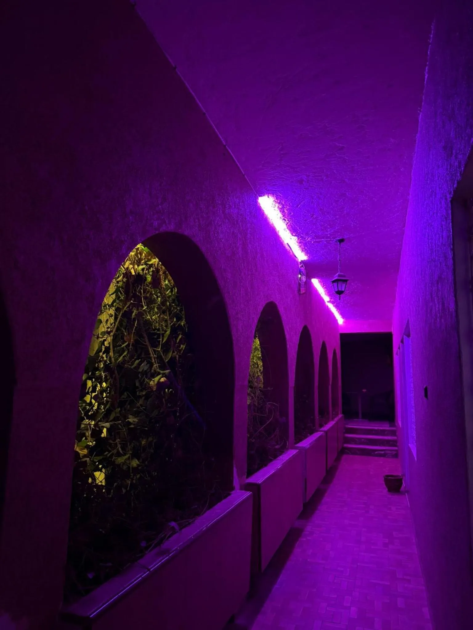 Night in Hotel Tiznit