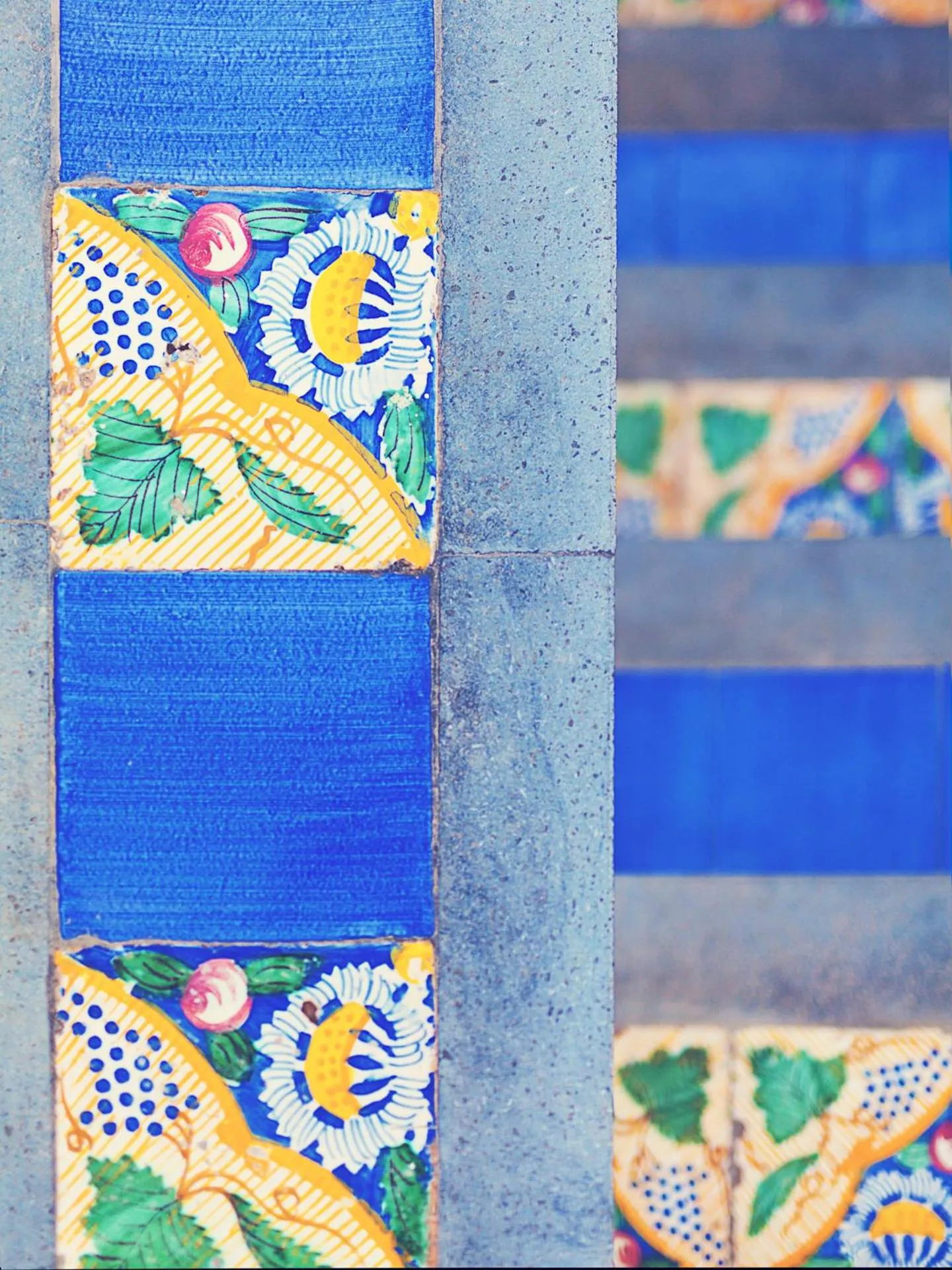 Garden in Punta Sallustro Lipari