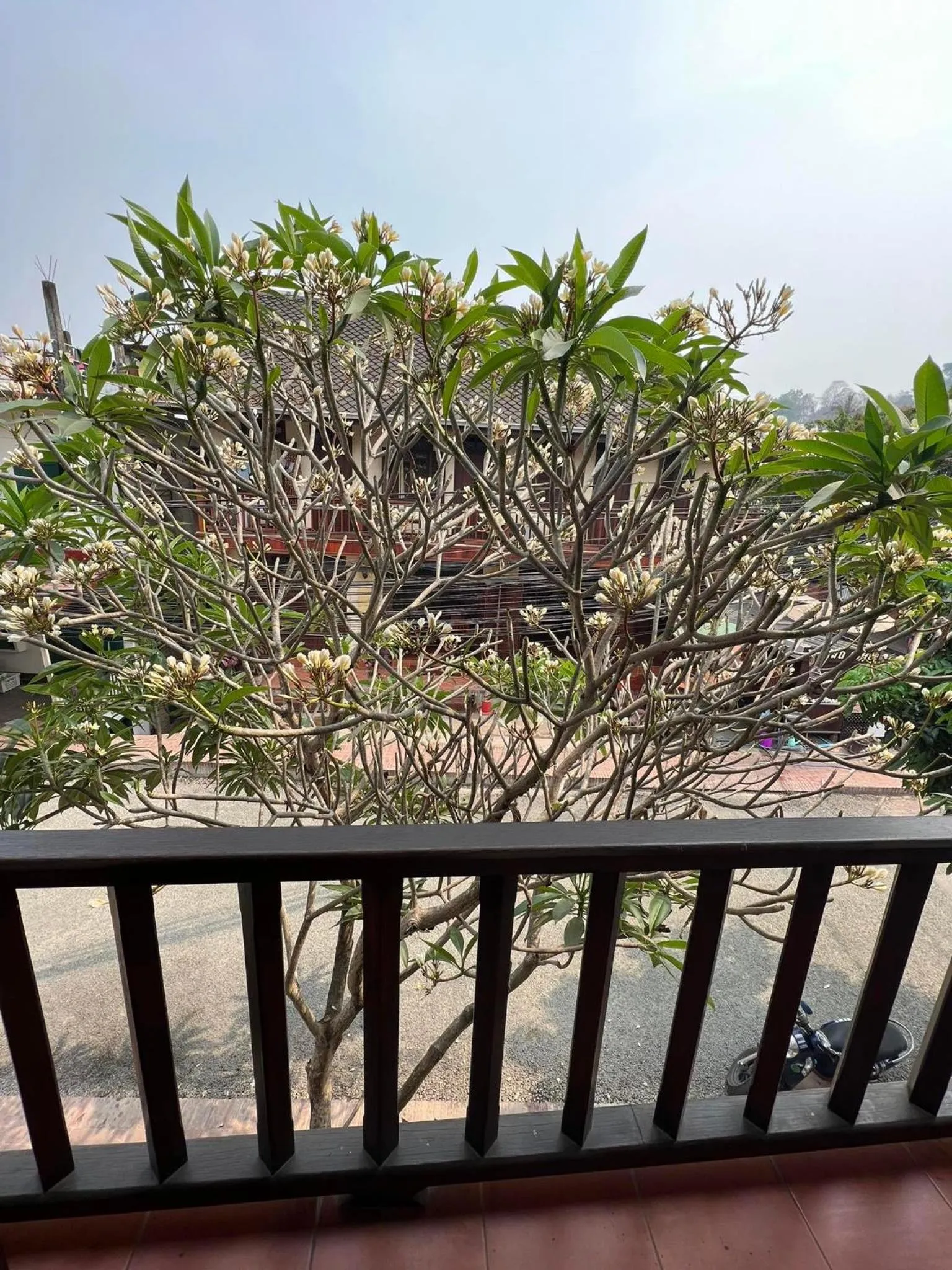 View (from property/room) in Luang Prabang Champa Villa Hotel