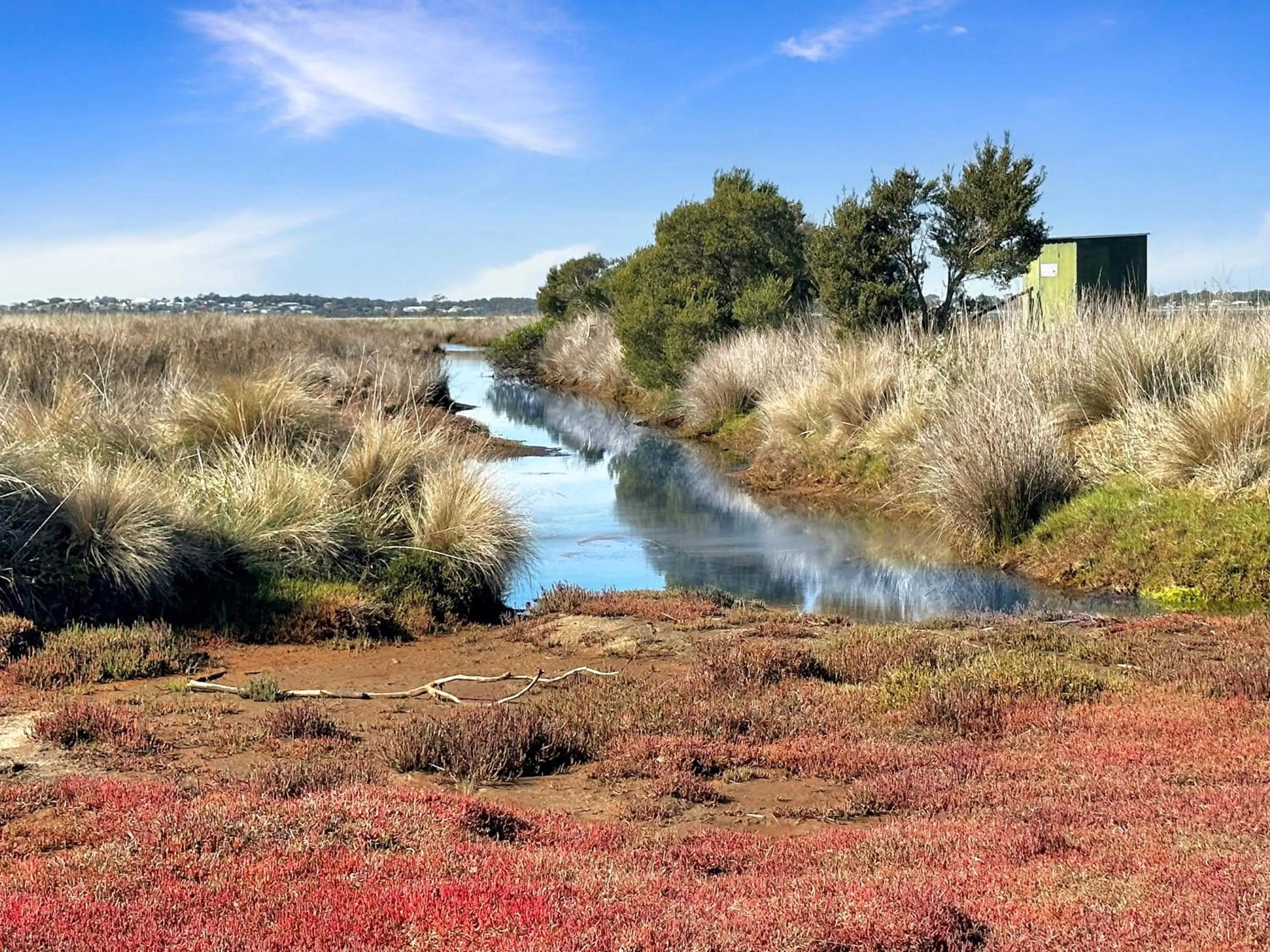 Pelican Point Sanctuary