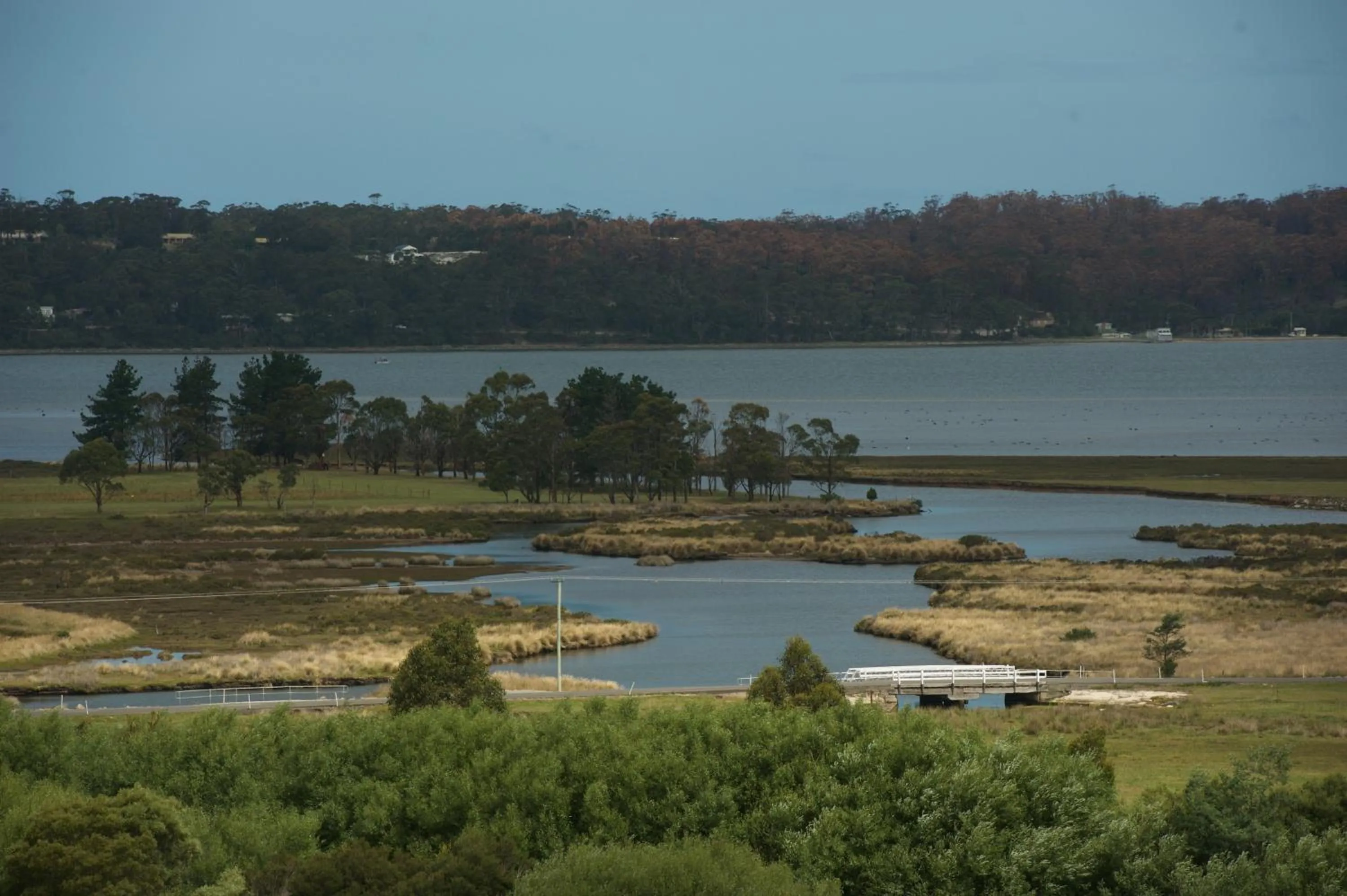Pelican Point Sanctuary