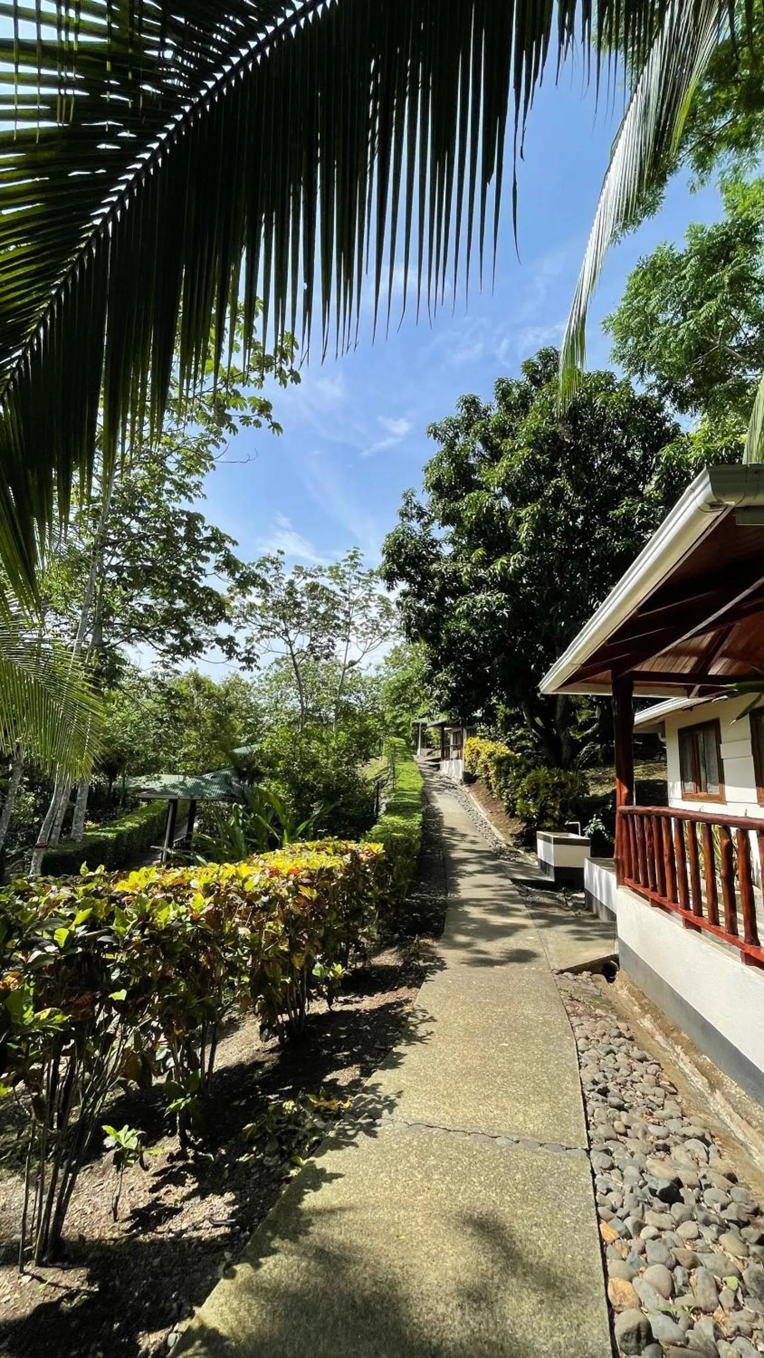 Garden view in Hotel Cerro Lodge