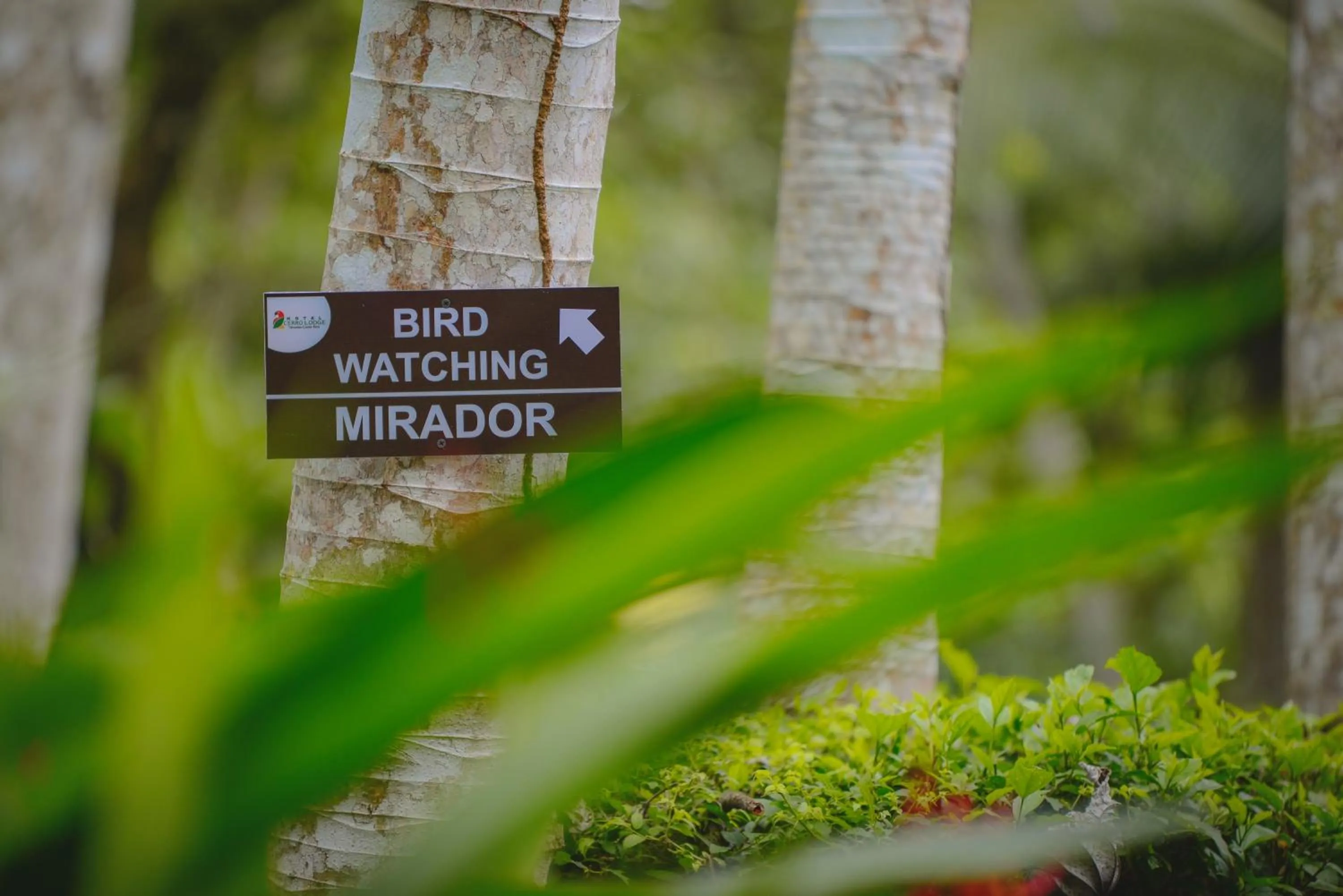 Property logo or sign in Hotel Cerro Lodge