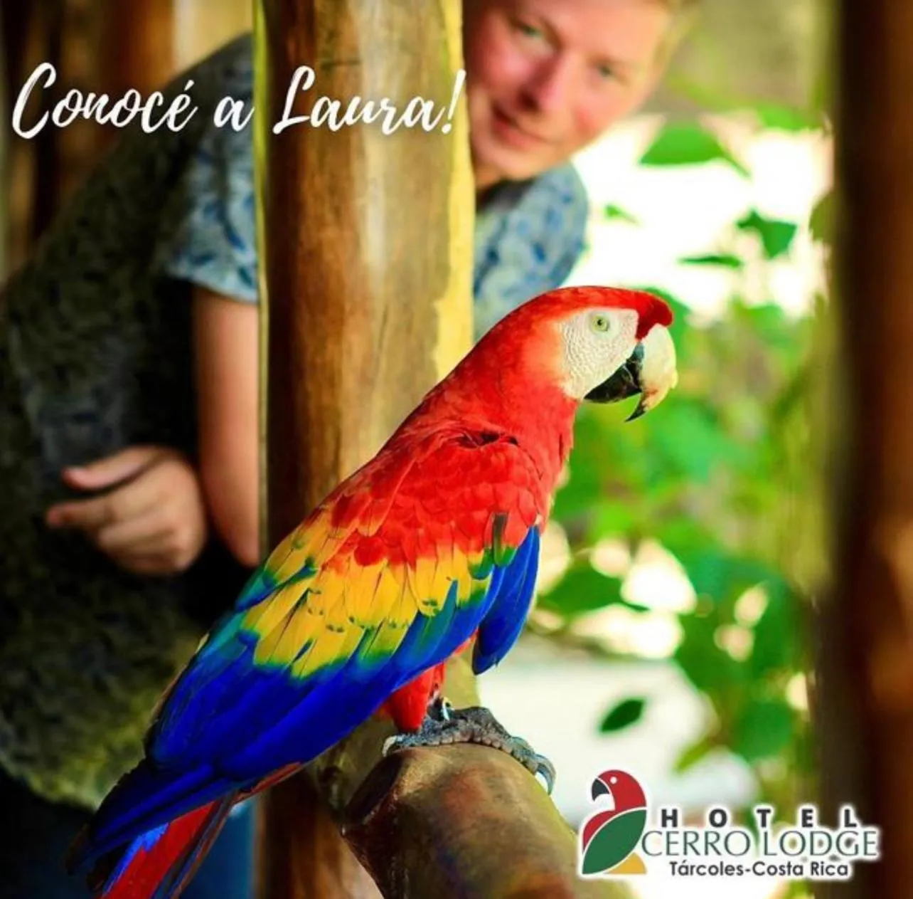 Bird's eye view in Hotel Cerro Lodge