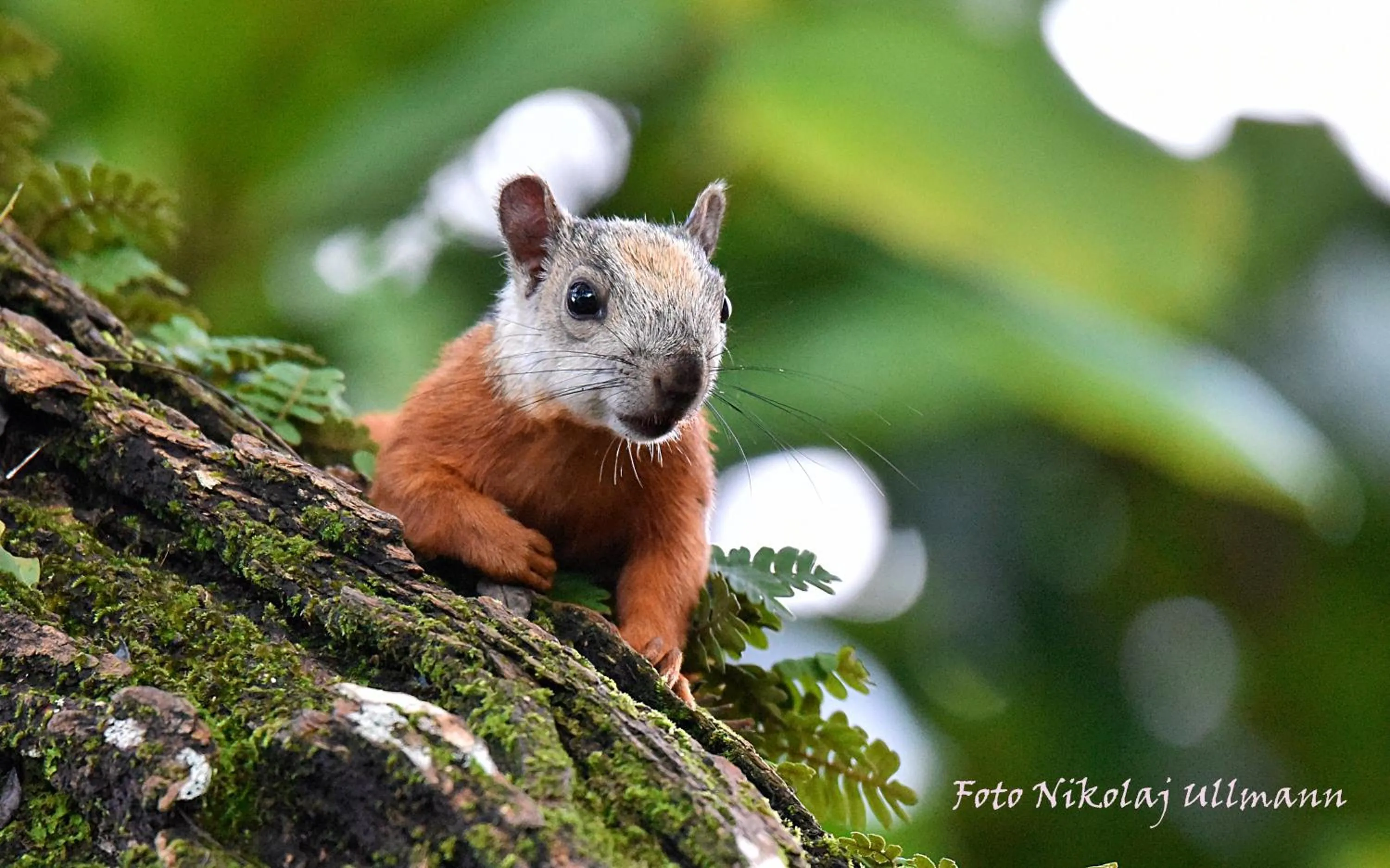 Day in Hotel Cerro Lodge