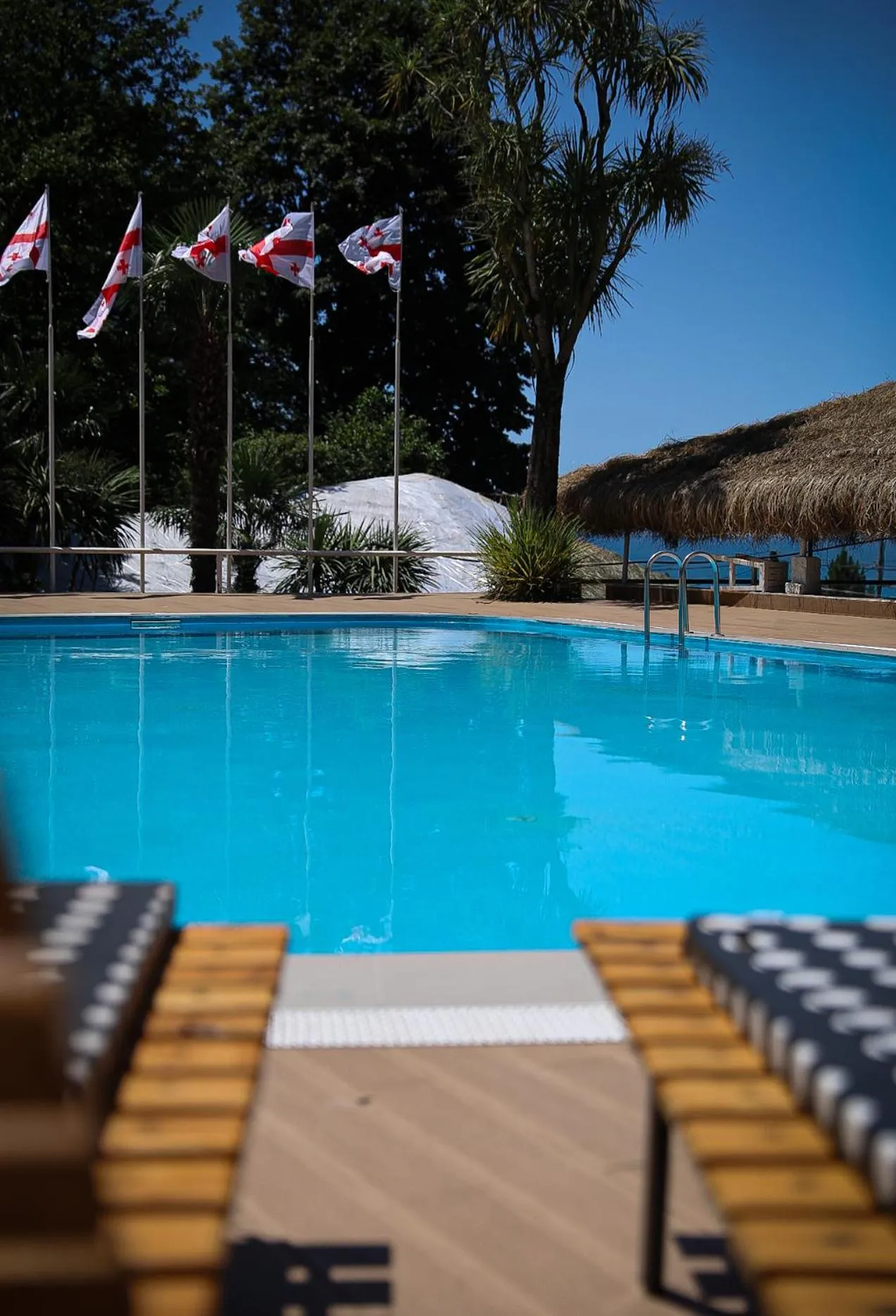 Natural landscape in Hotel Martini Kvariati