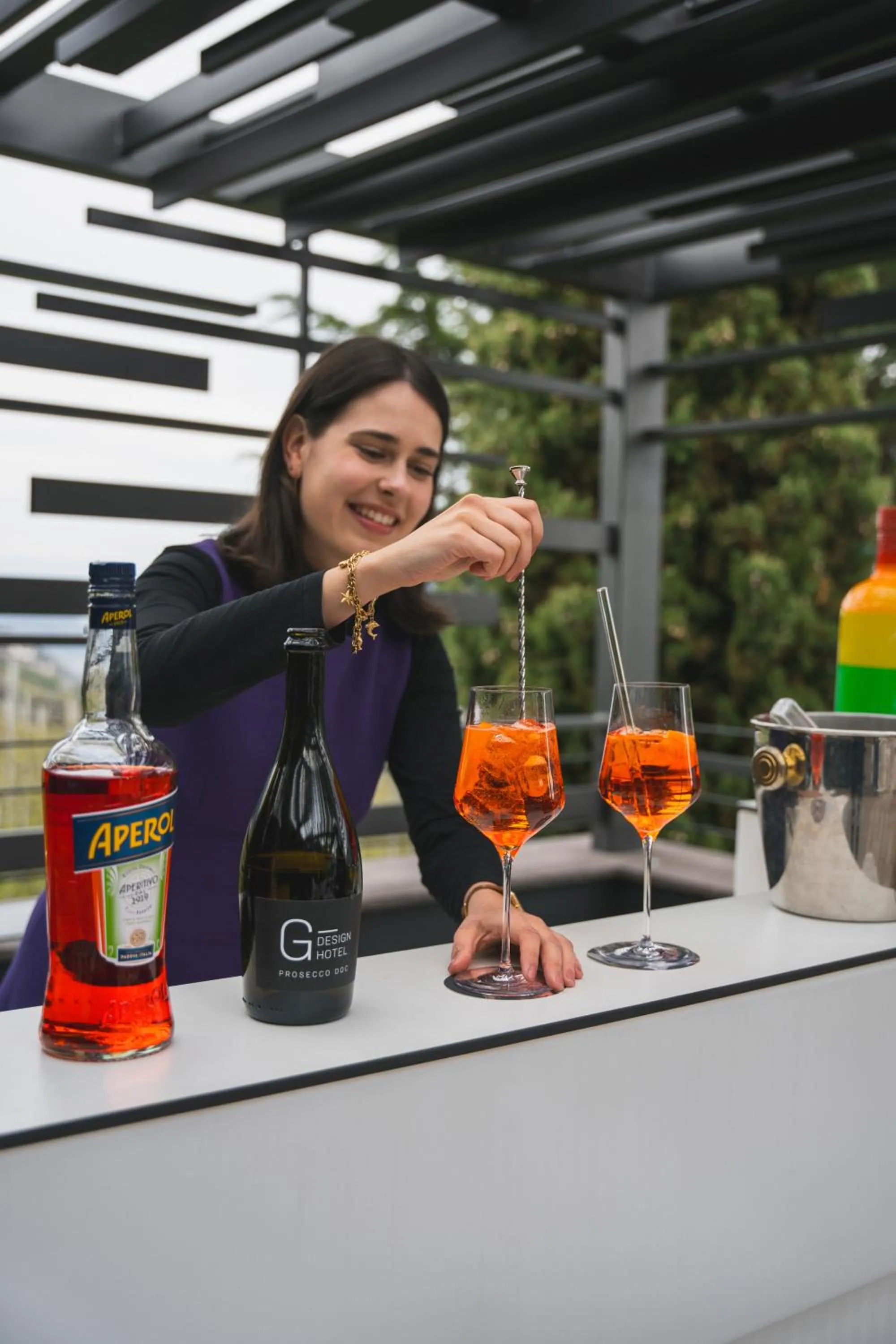 Alcoholic drinks in Hotel Gartner