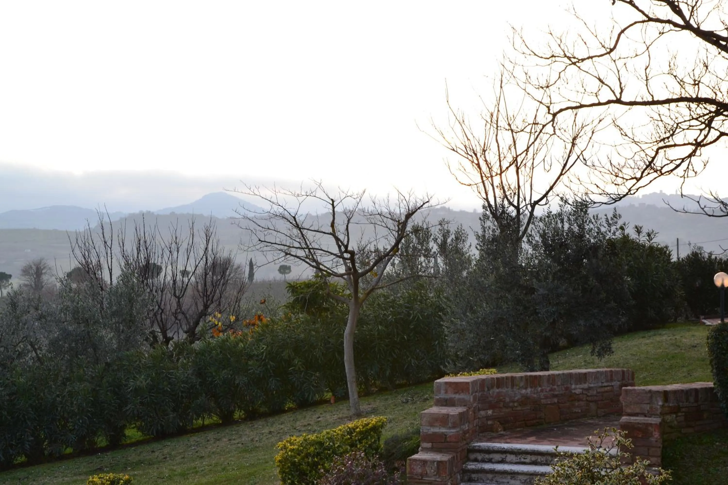 Garden in Agriturismo Sanguineto