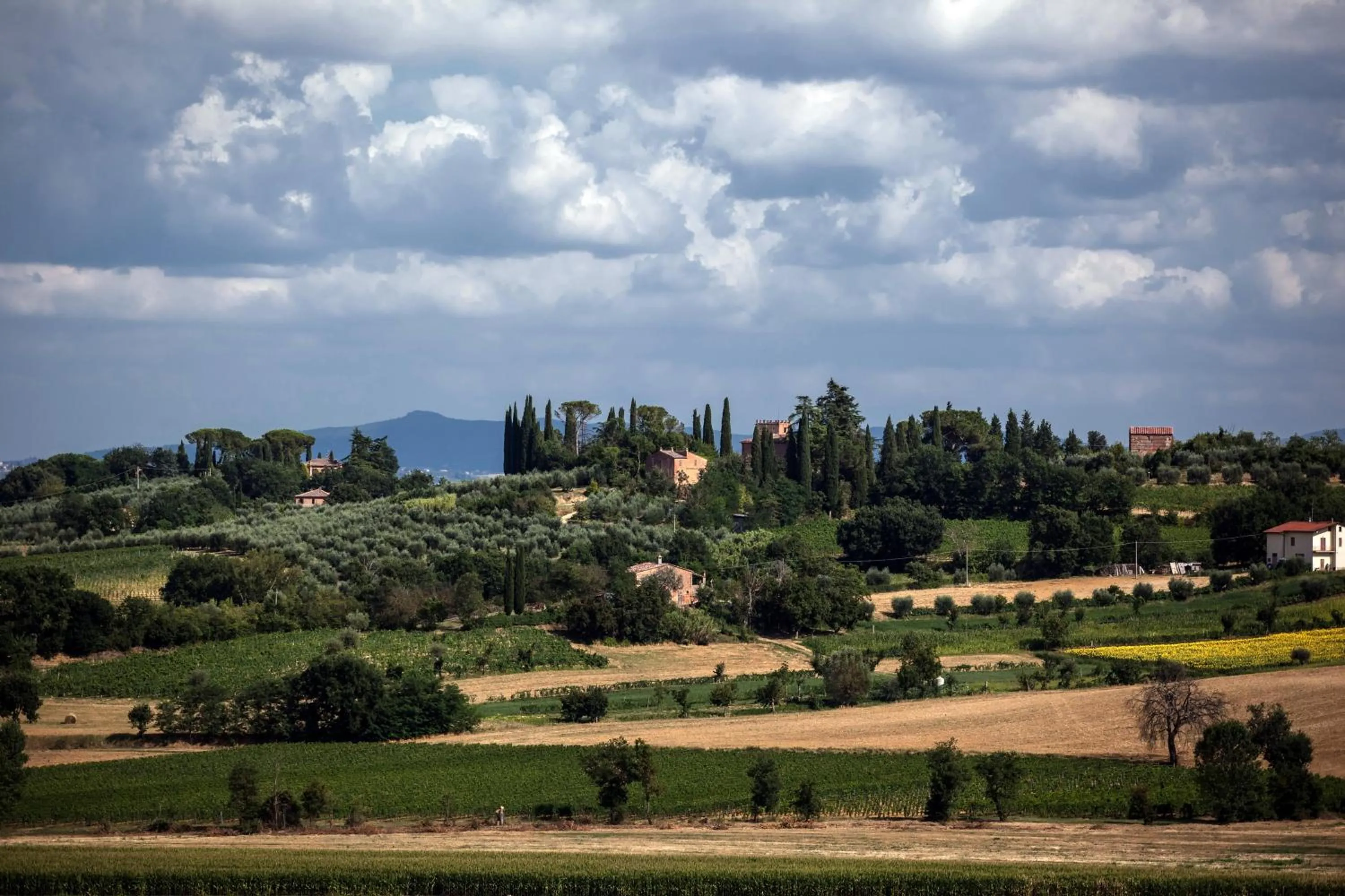 Garden in Agriturismo Sanguineto
