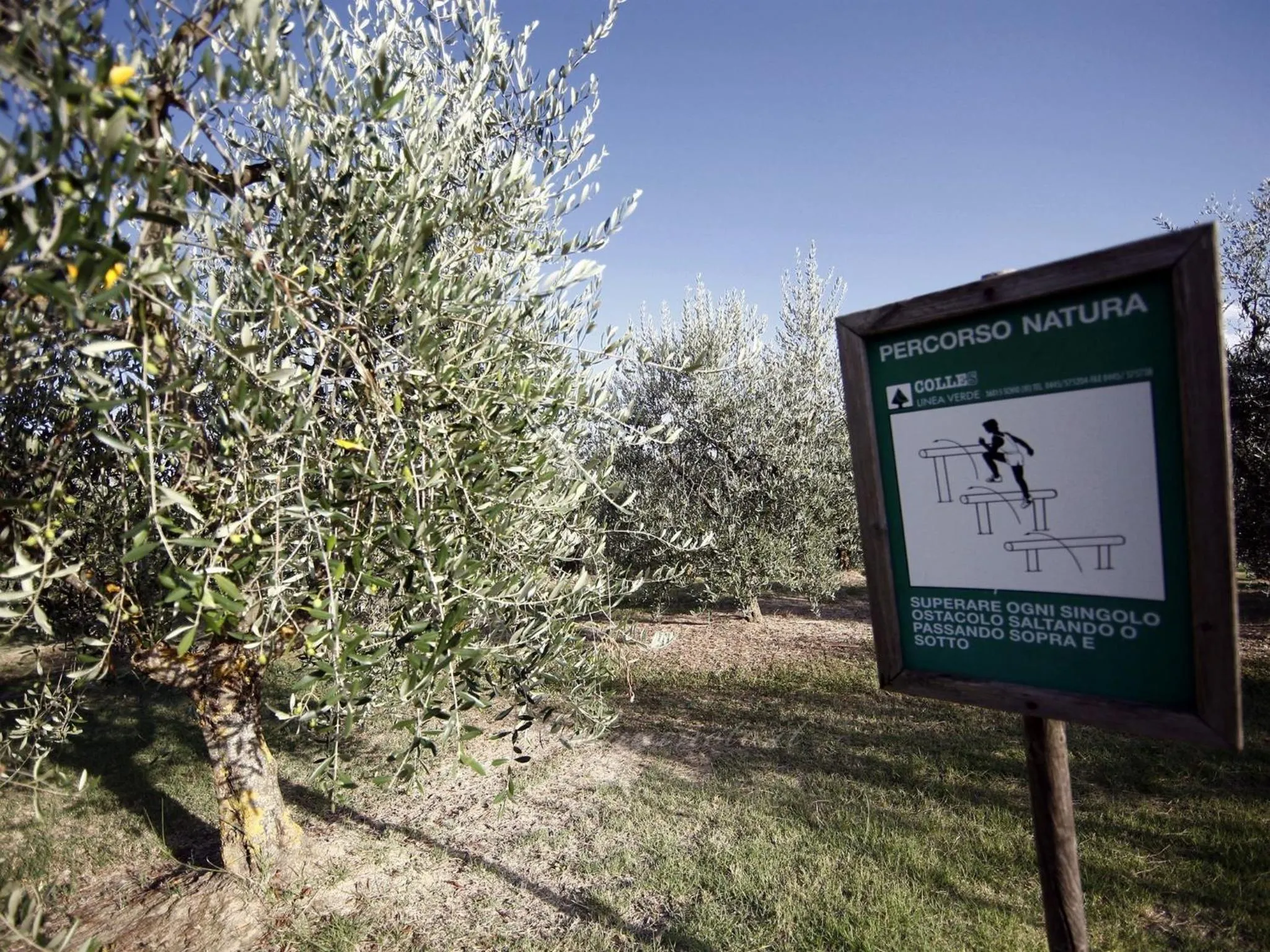 Children play ground in Agriturismo Sanguineto
