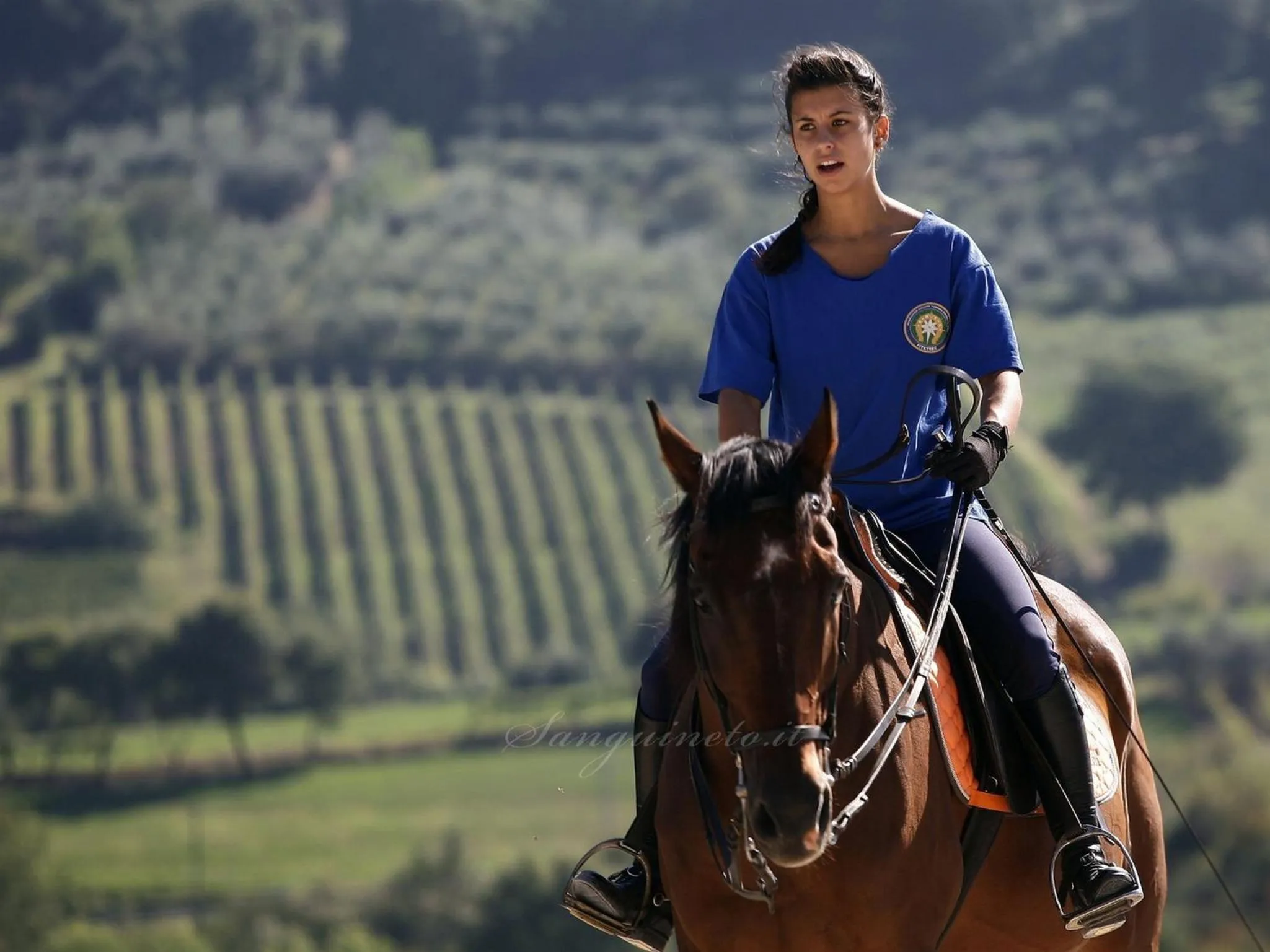 Horse-riding in Agriturismo Sanguineto