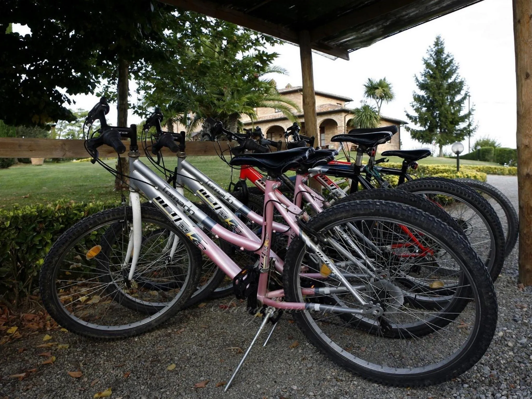 Spring in Agriturismo Sanguineto