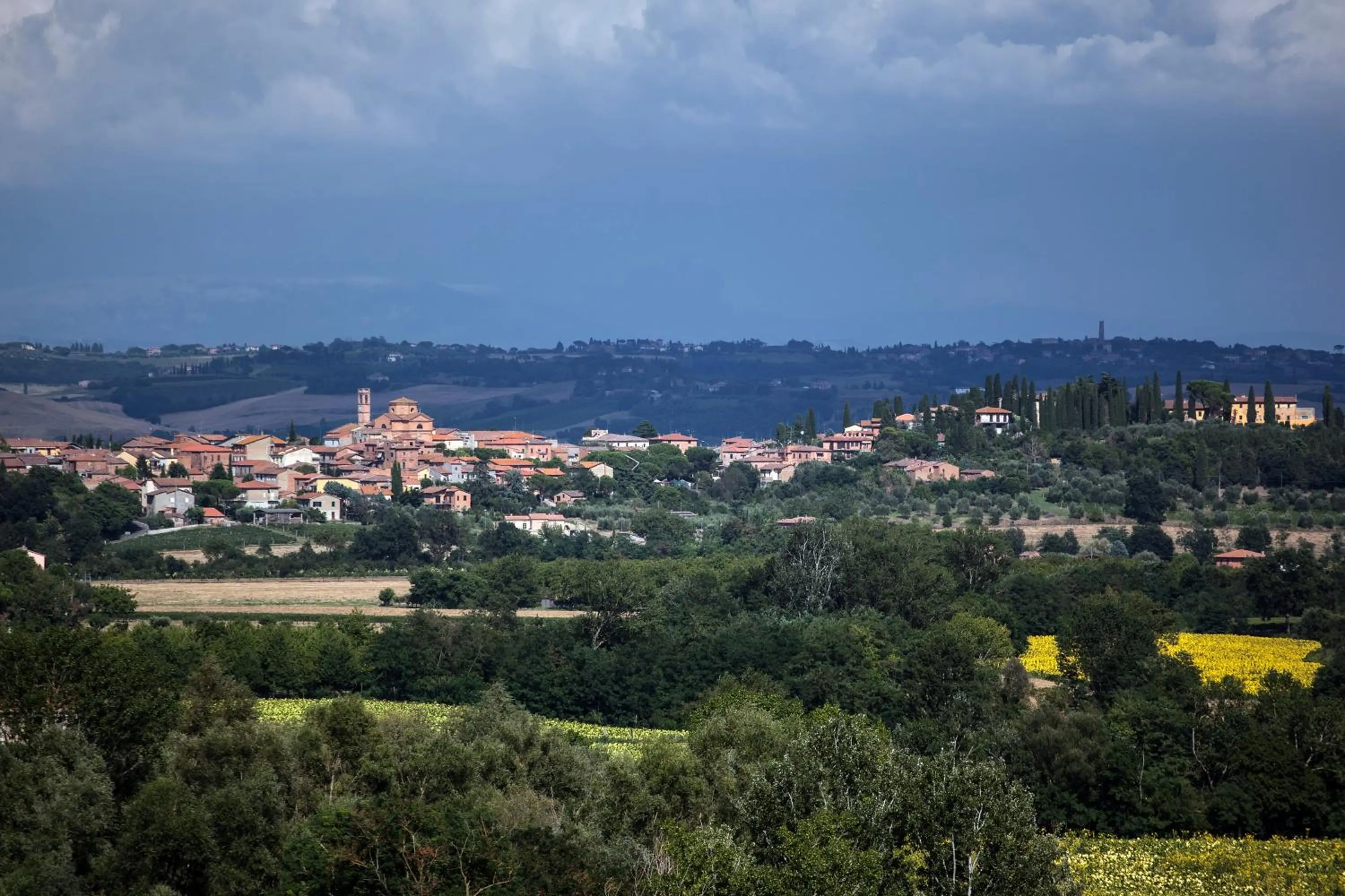 Garden in Agriturismo Sanguineto