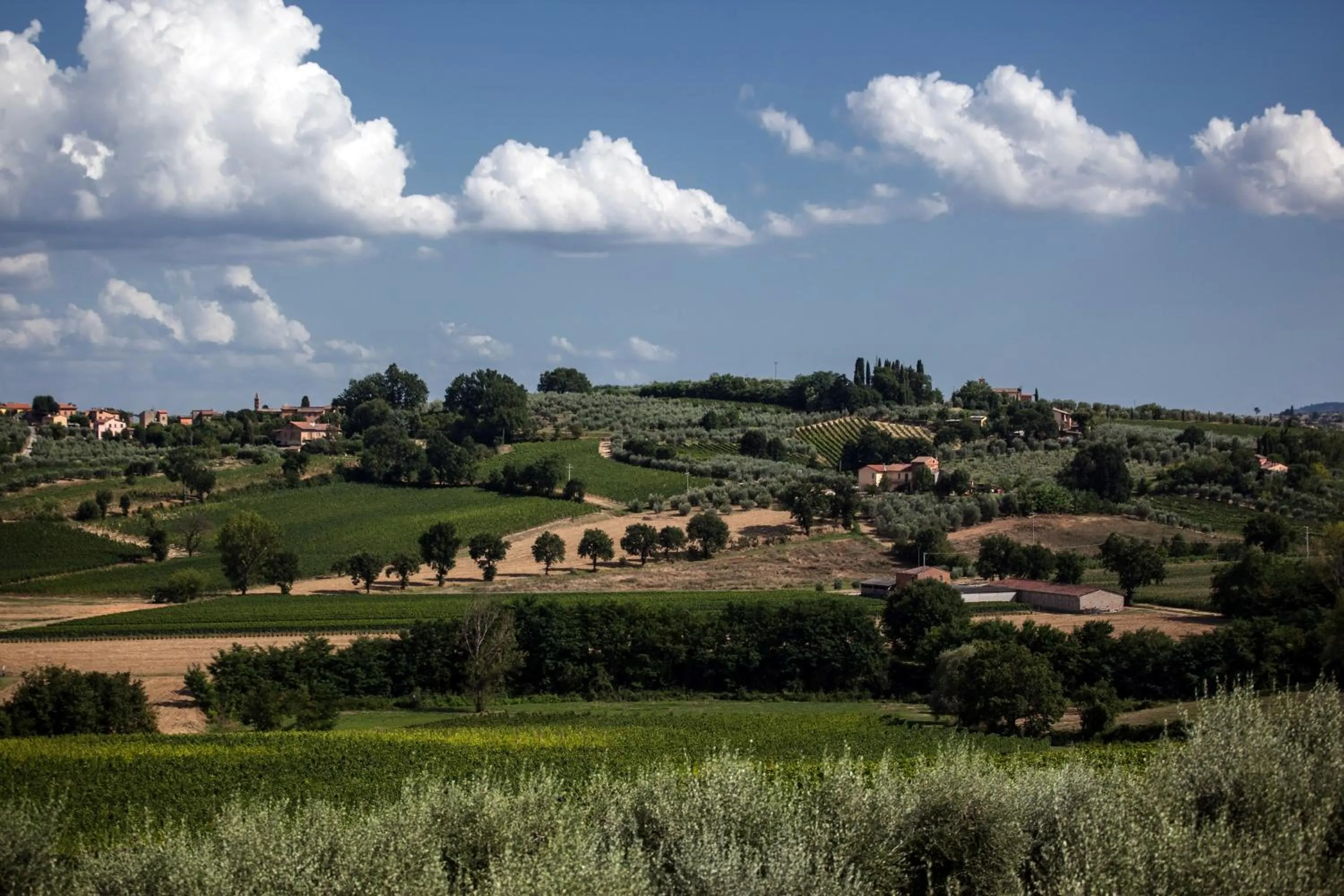 Garden in Agriturismo Sanguineto