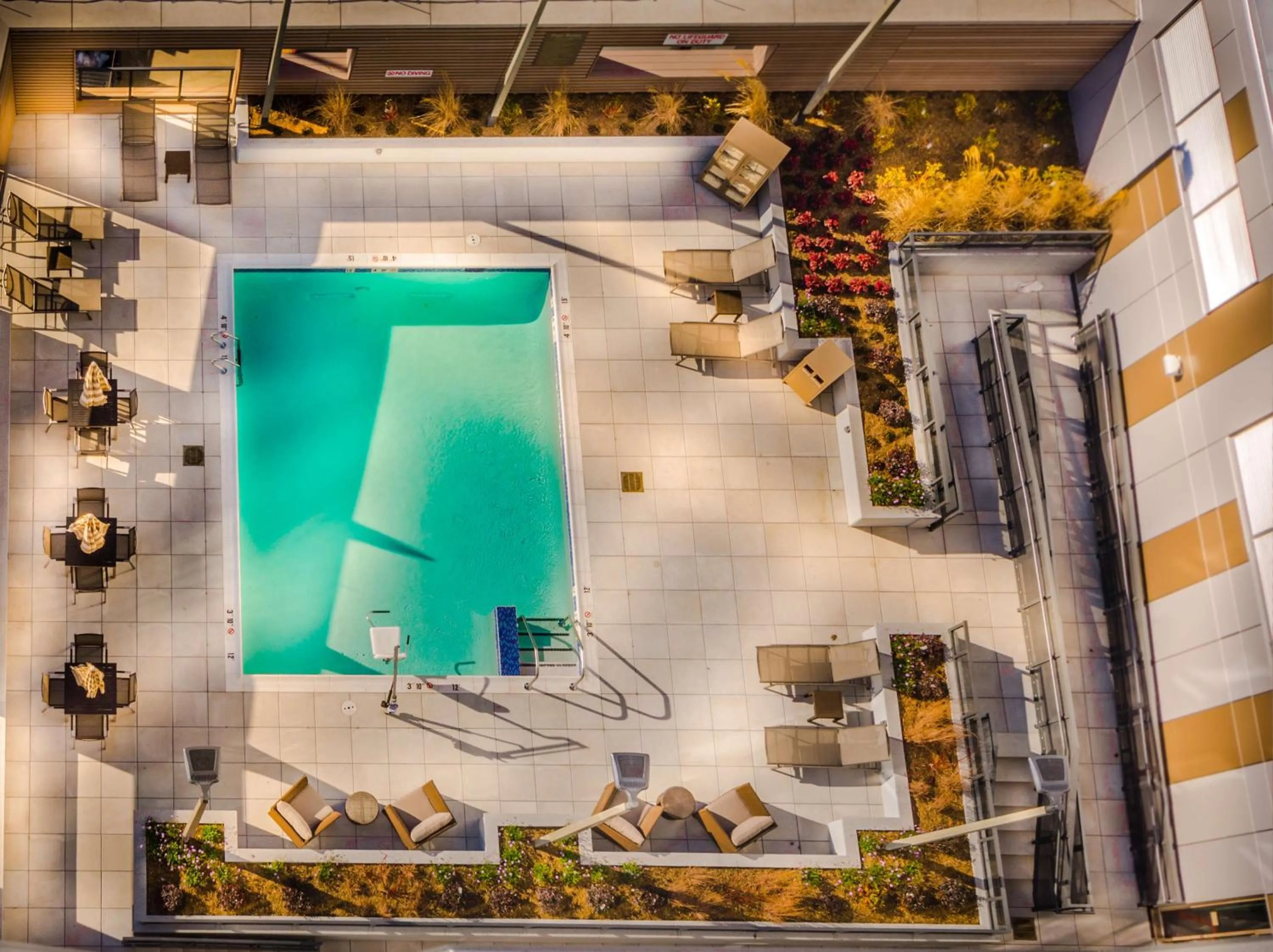 Swimming pool in Hyatt Place Washington D.C./National Mall