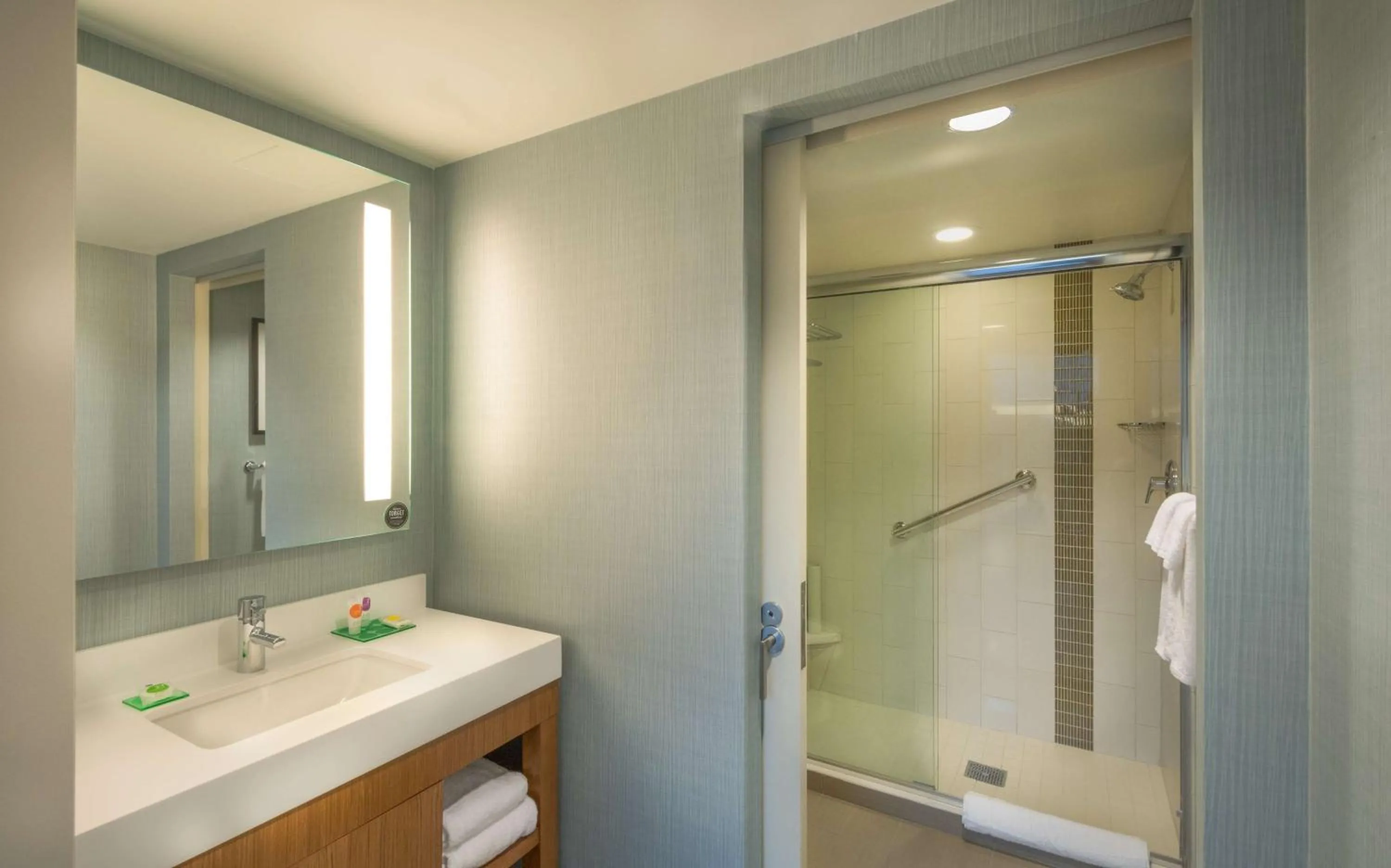 Bathroom in Hyatt Place Washington D.C./National Mall