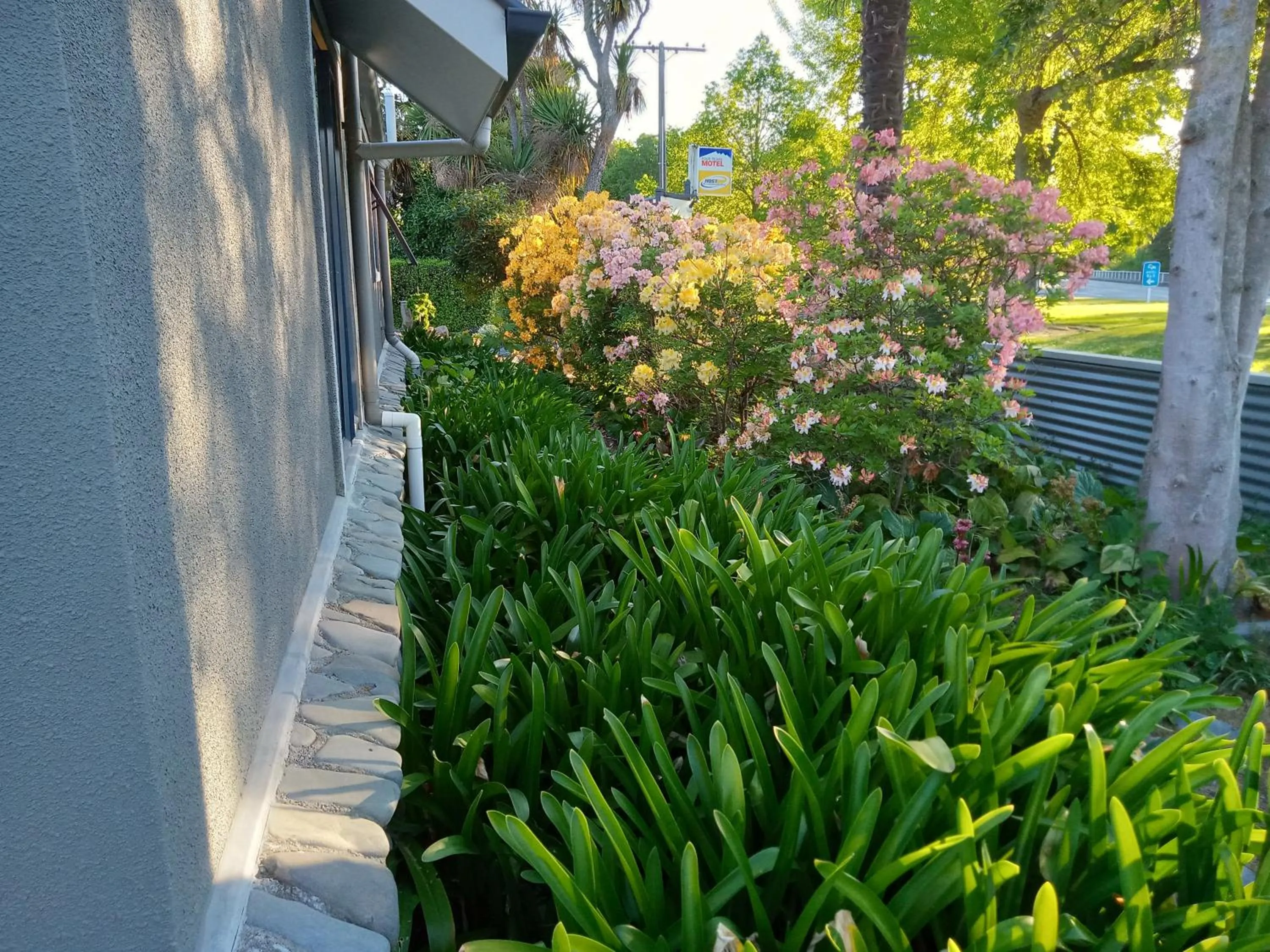 Garden in Four Peaks Motel