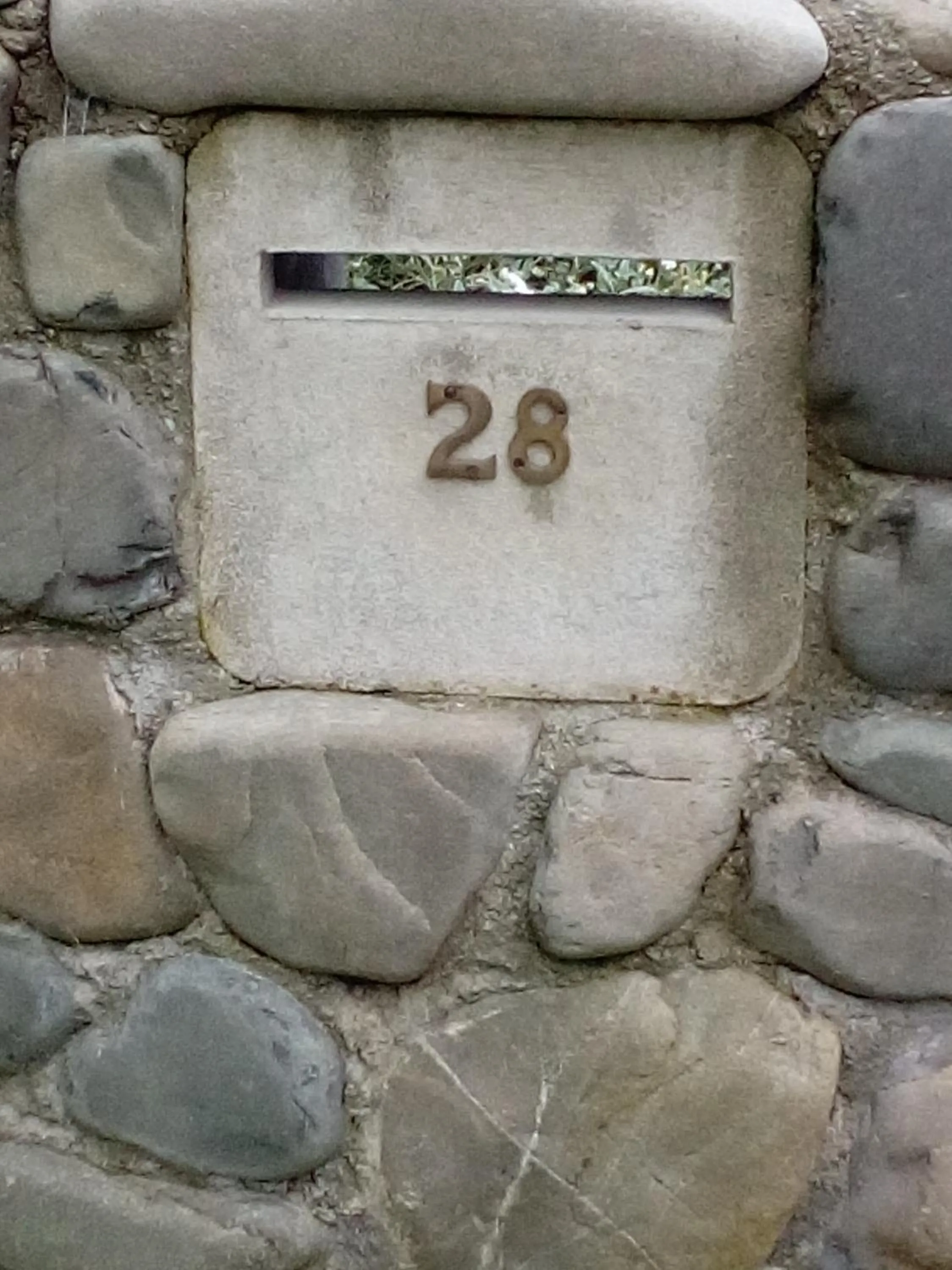 Other in Four Peaks Motel