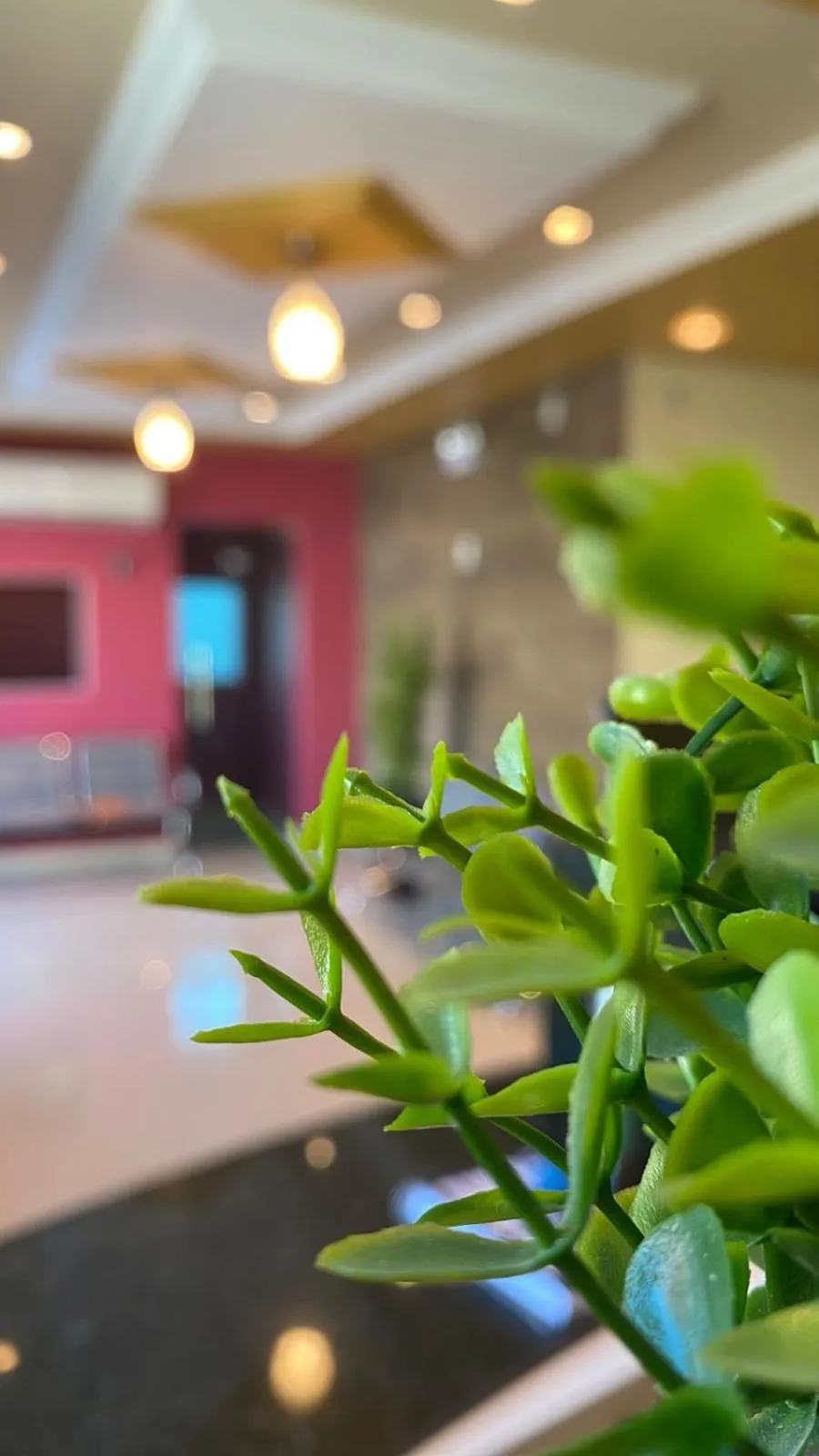 Lobby or reception in Domus Hotel Rio Verde - Parauapebas