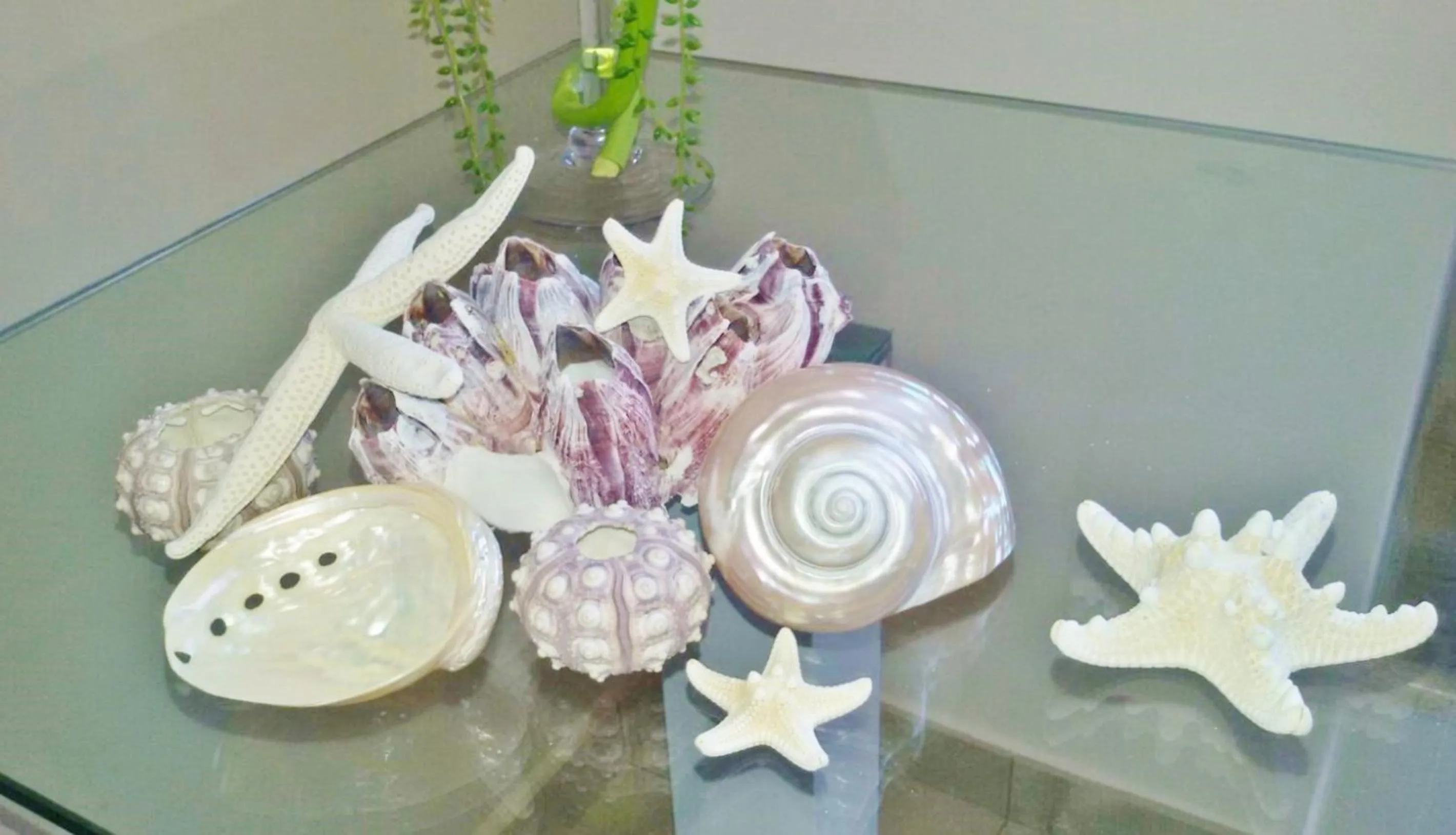 Decorative detail in Acquamarina B&b