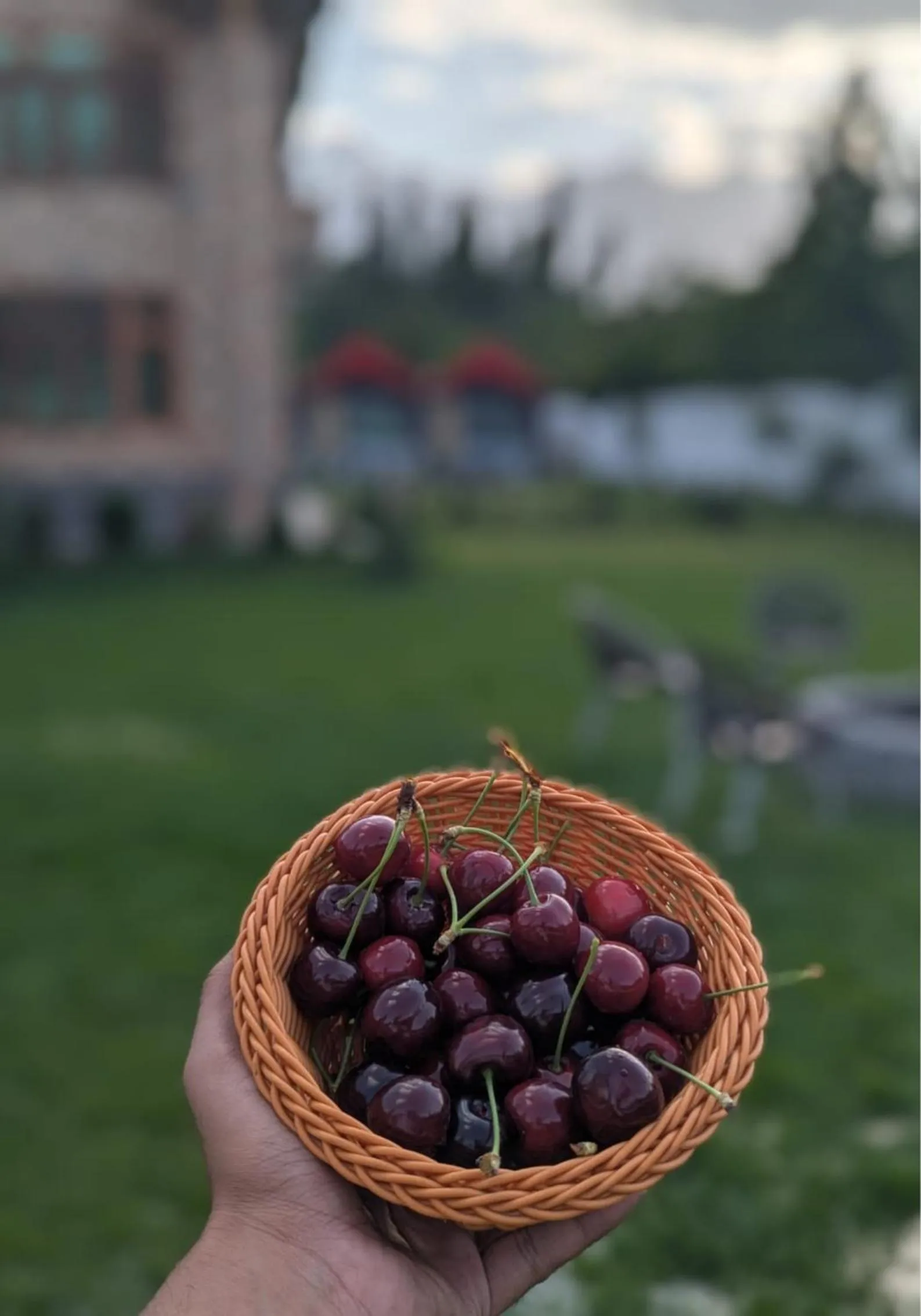Comfort Hotel & Huts
