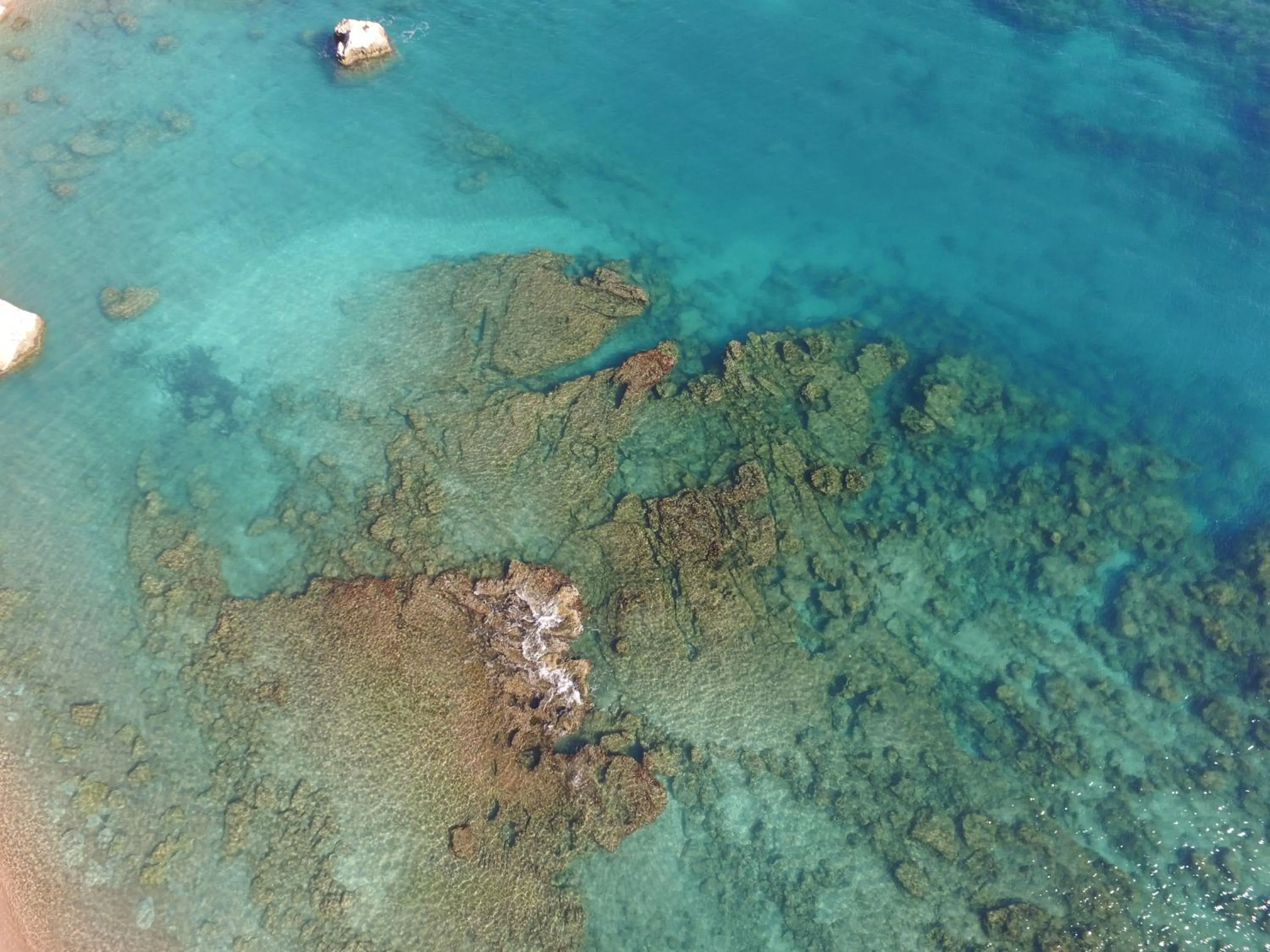 Fishing in Anastasia Studios, Apartments & Suites