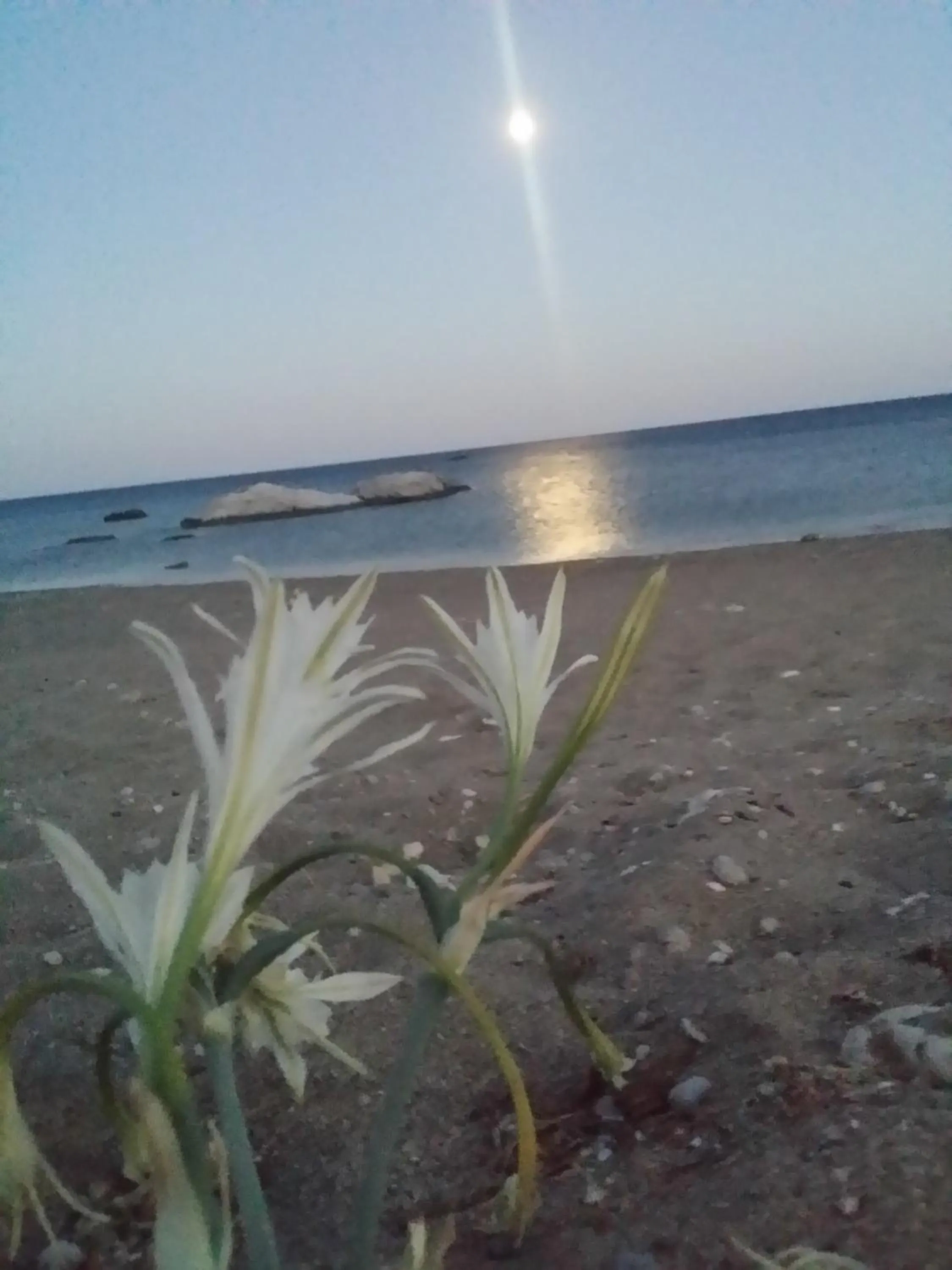 Natural landscape in Anastasia Studios, Apartments & Suites