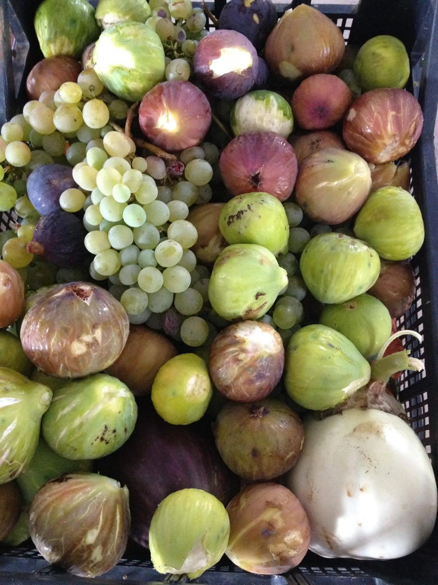 Food close-up in Korali Hotel