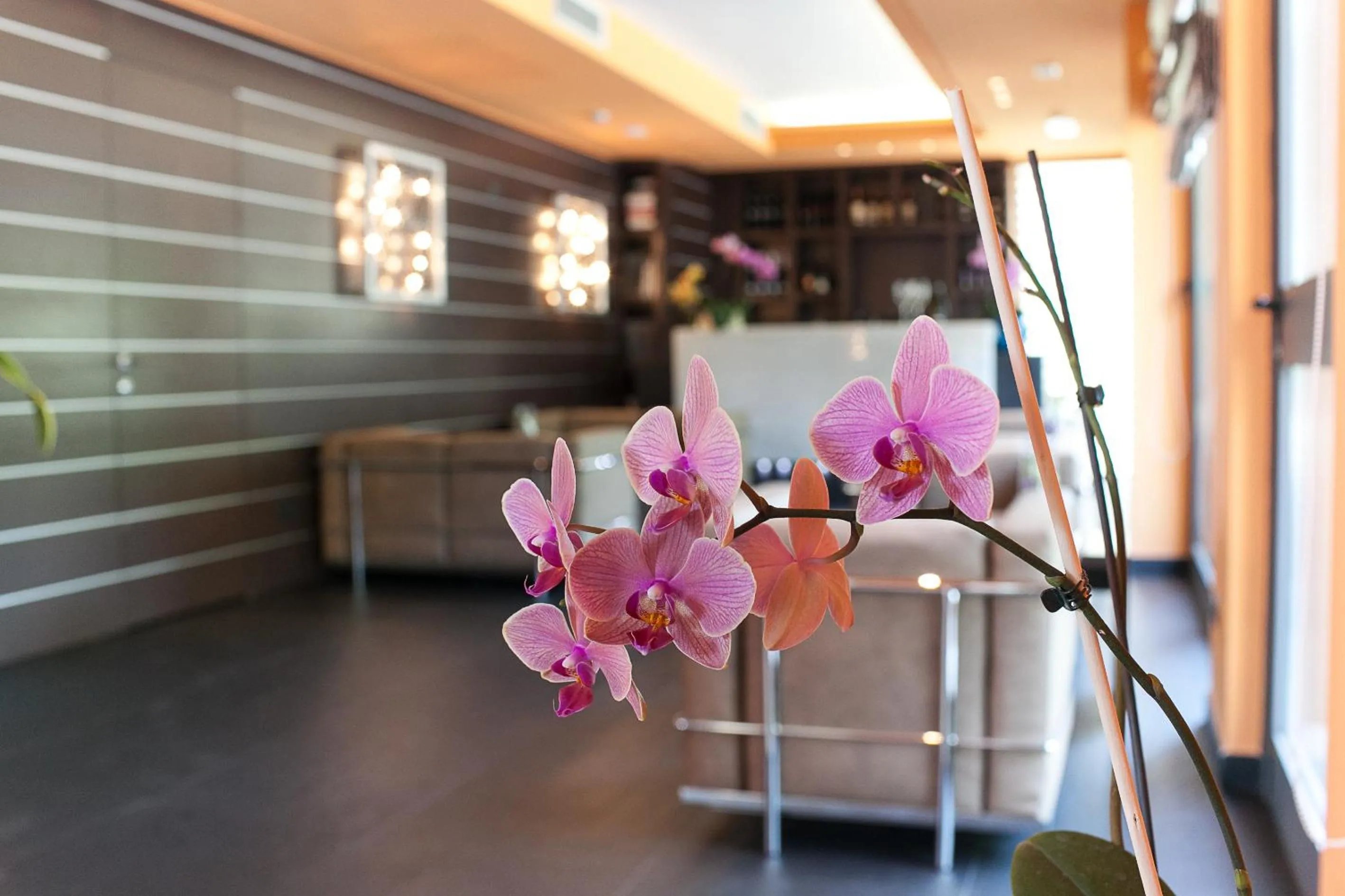 Lobby or reception in Hotel Aurora