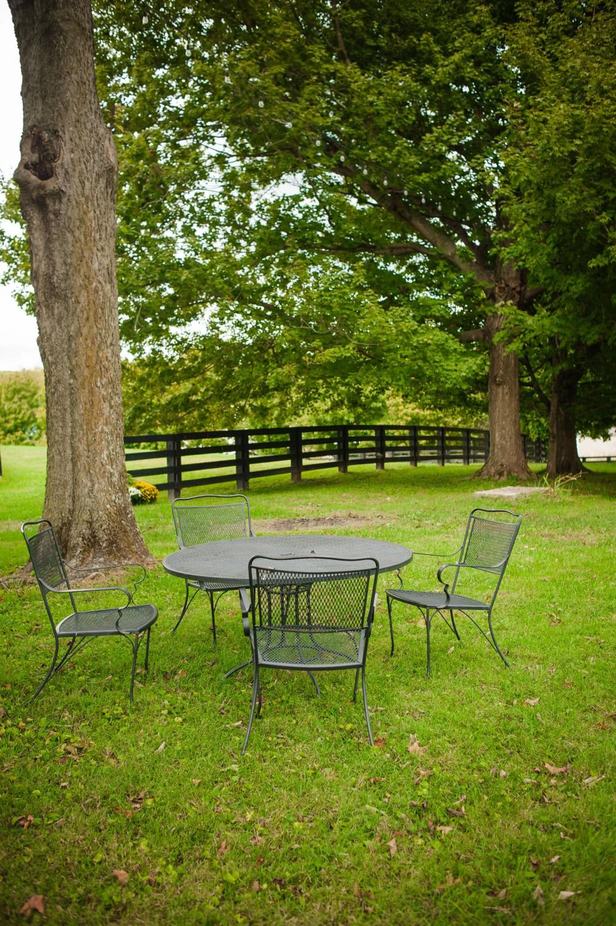 Garden in The Denny House