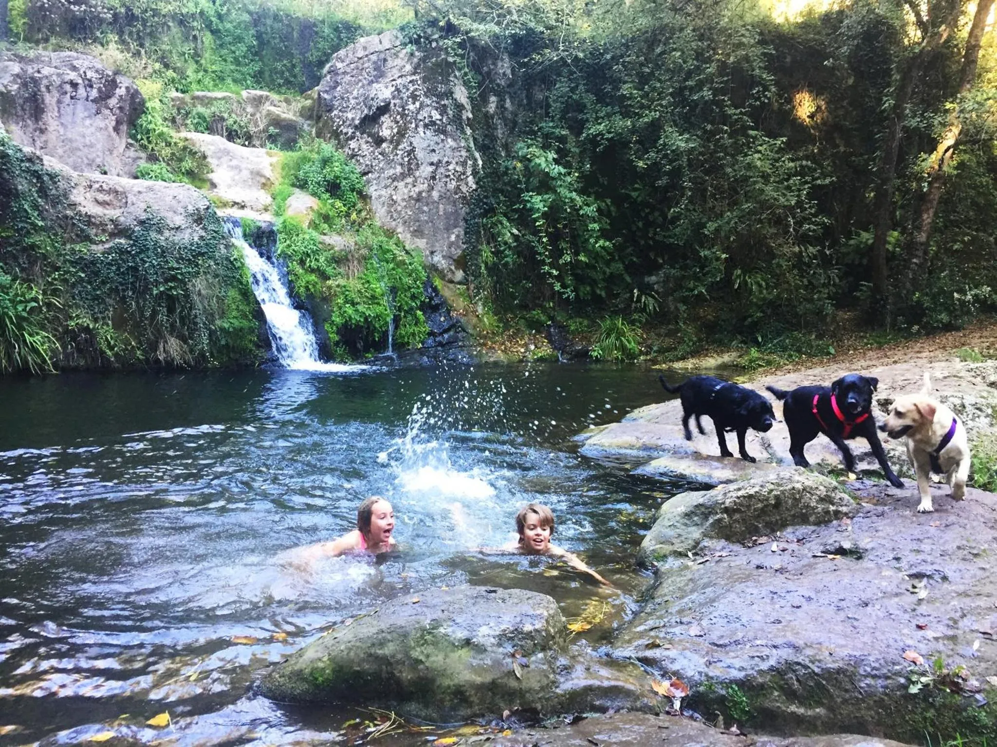 Activities in Hotel Mas Pelegri