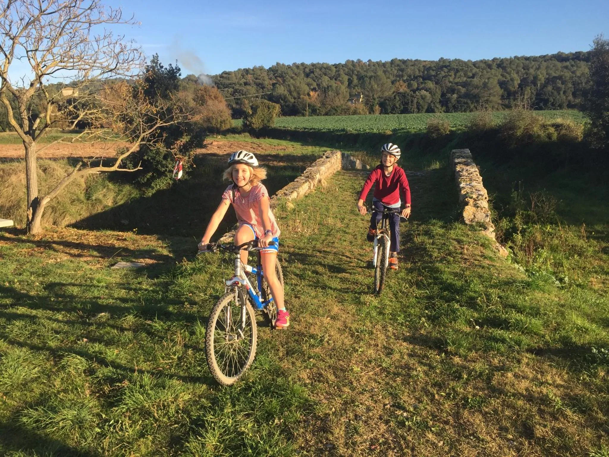 Activities in Hotel Mas Pelegri