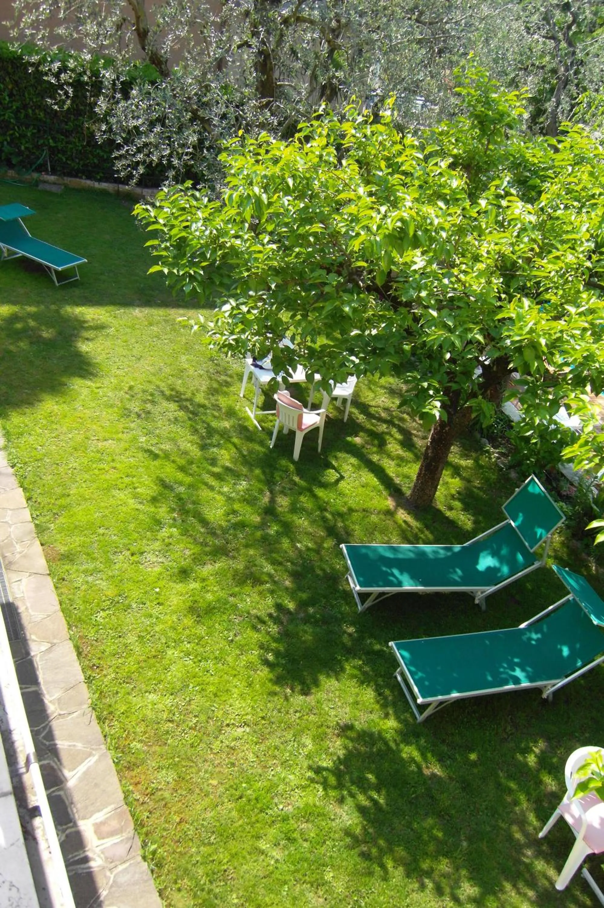 Garden in Hotel Casa Serena