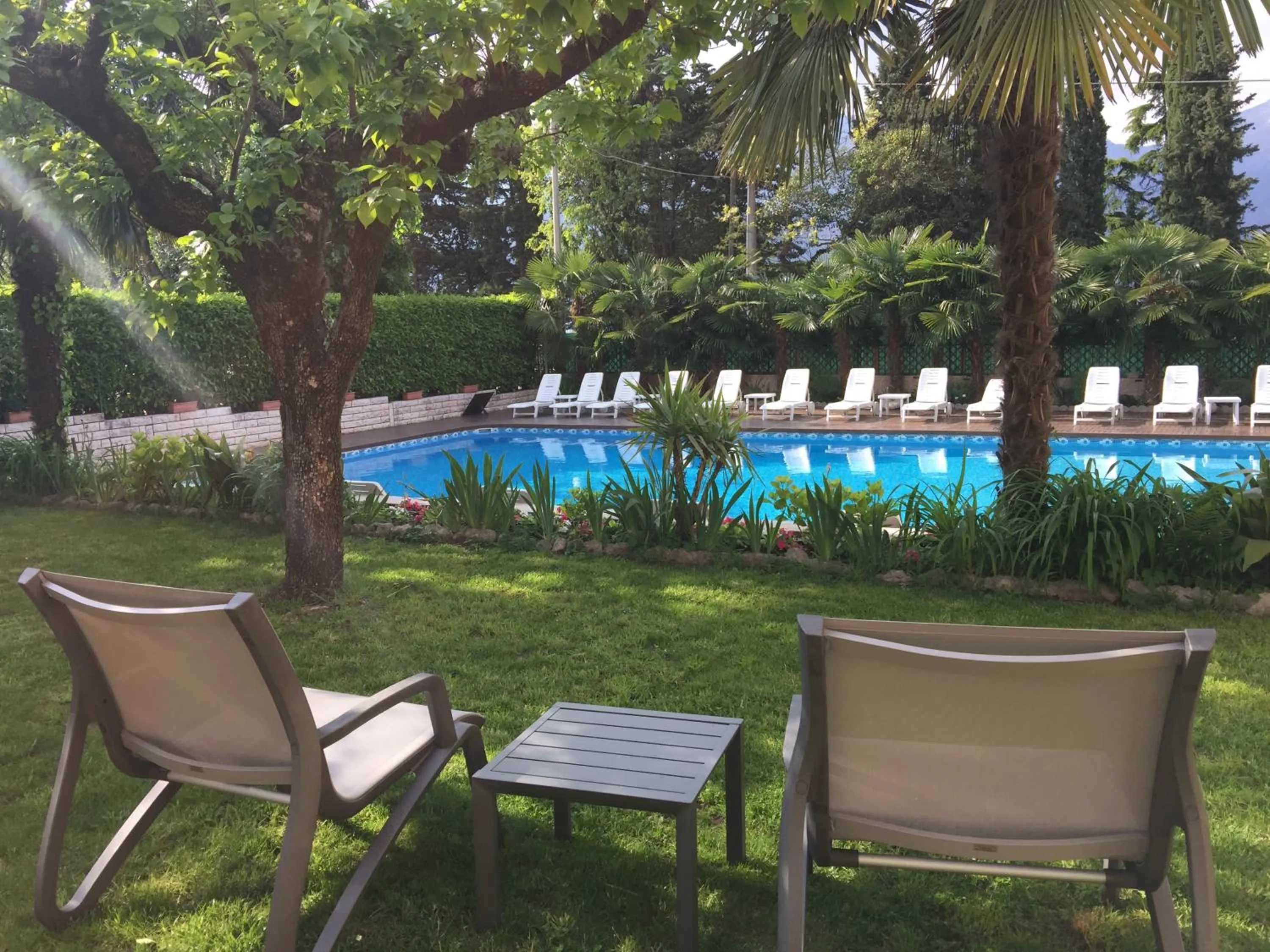 Garden in Hotel Casa Serena