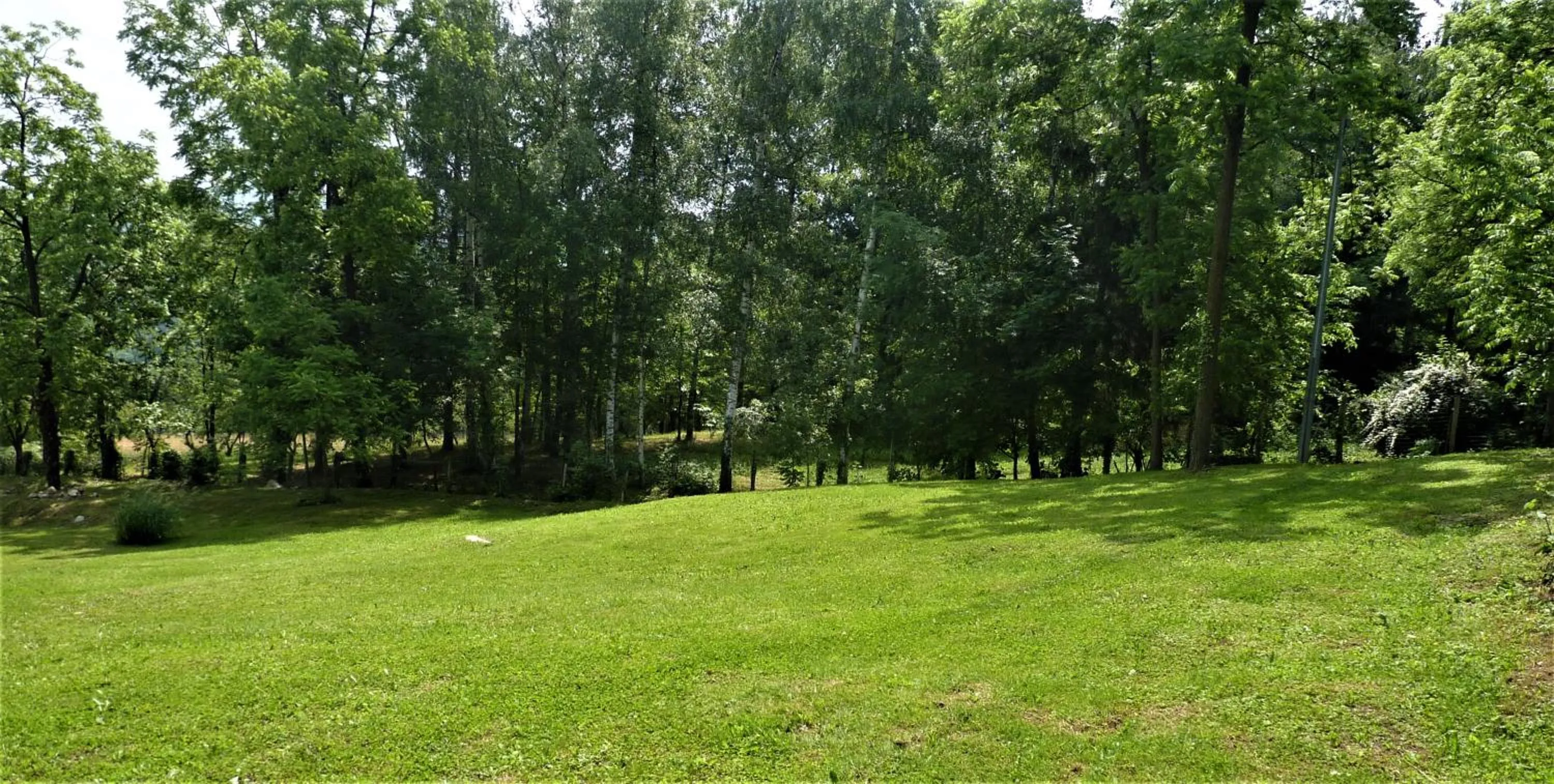 Garden in Ca'Luna Guest House