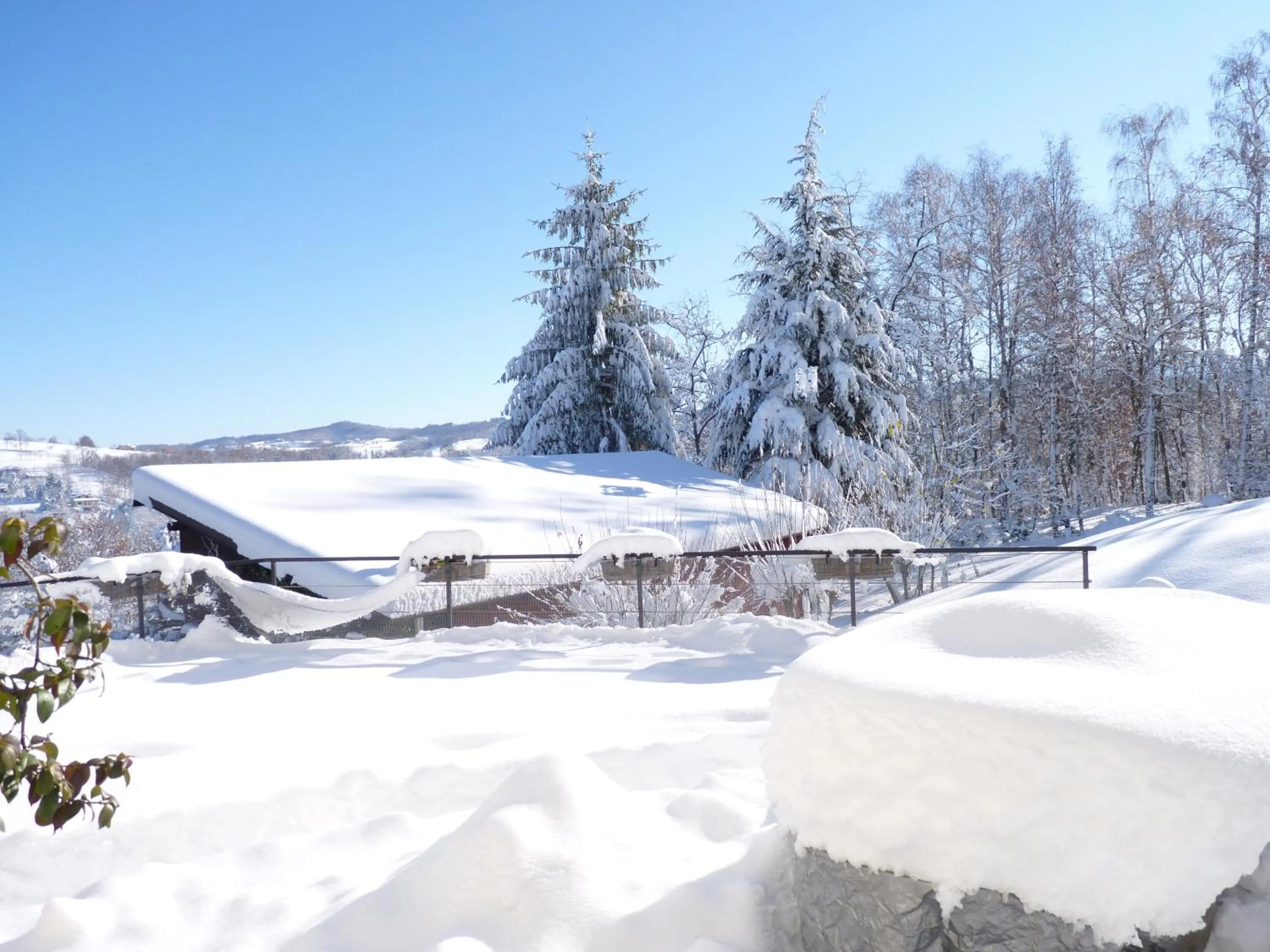 Garden view in Ca'Luna Guest House