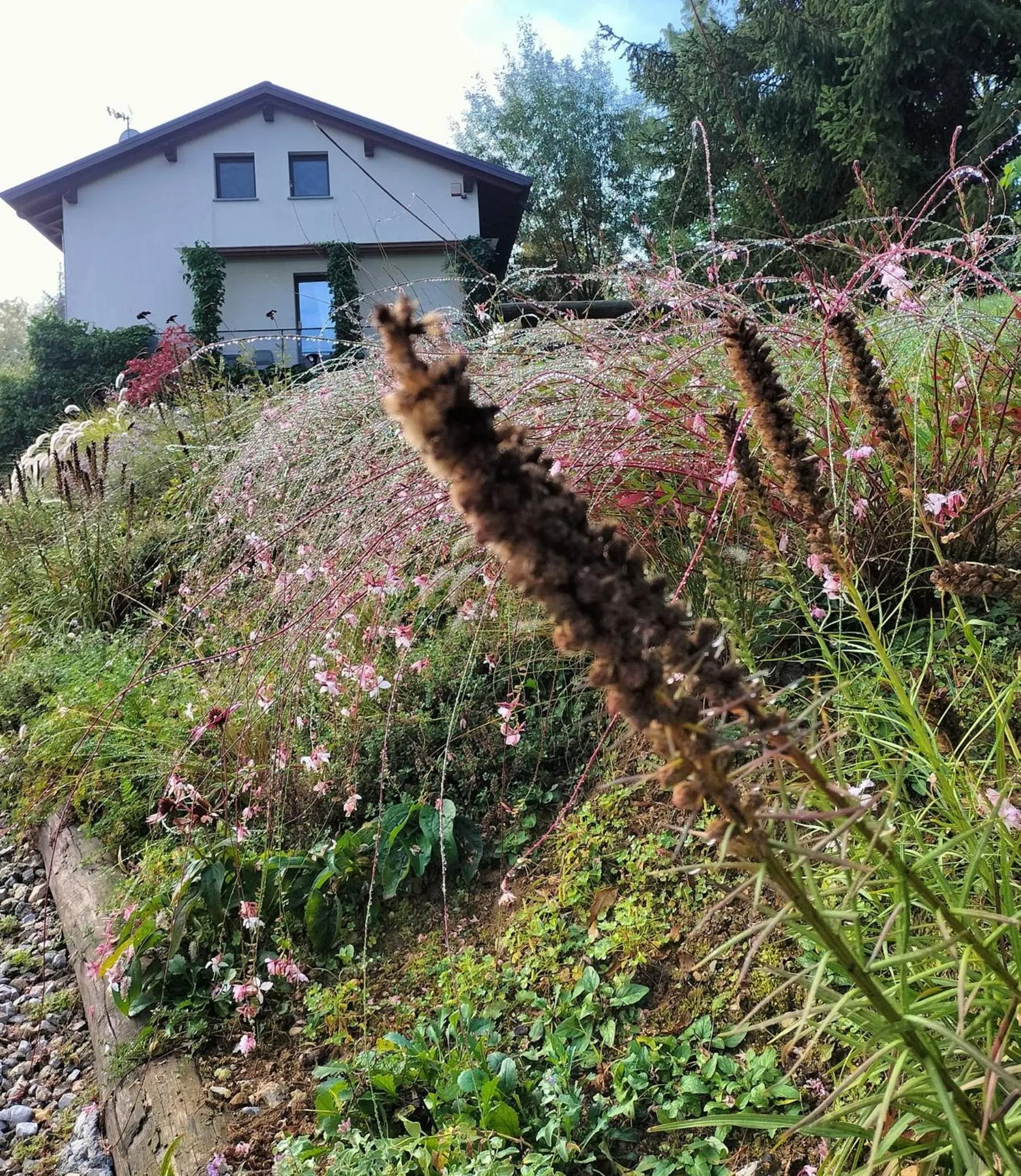 Property building in Ca'Luna Guest House