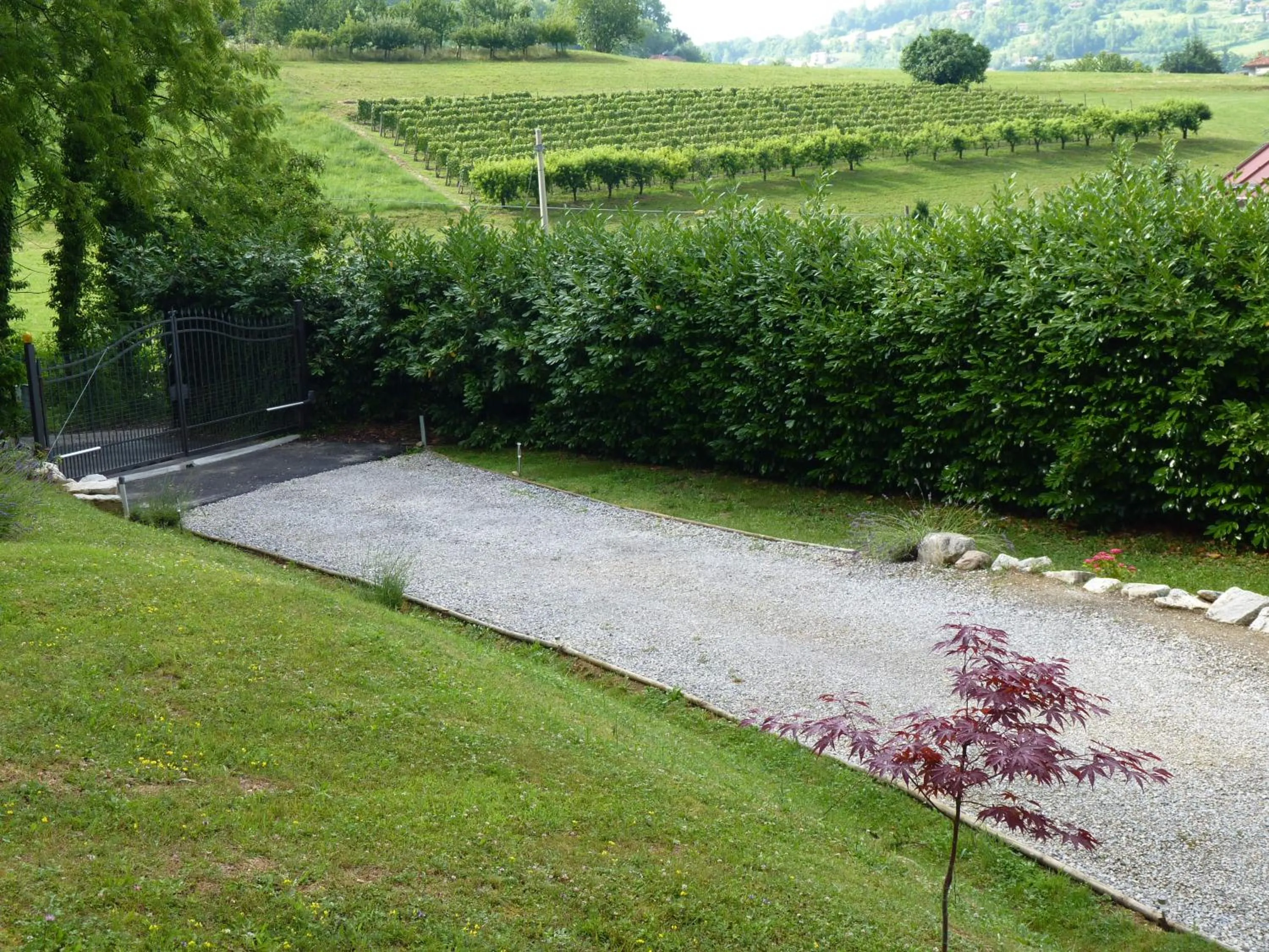 View (from property/room) in Ca'Luna Guest House