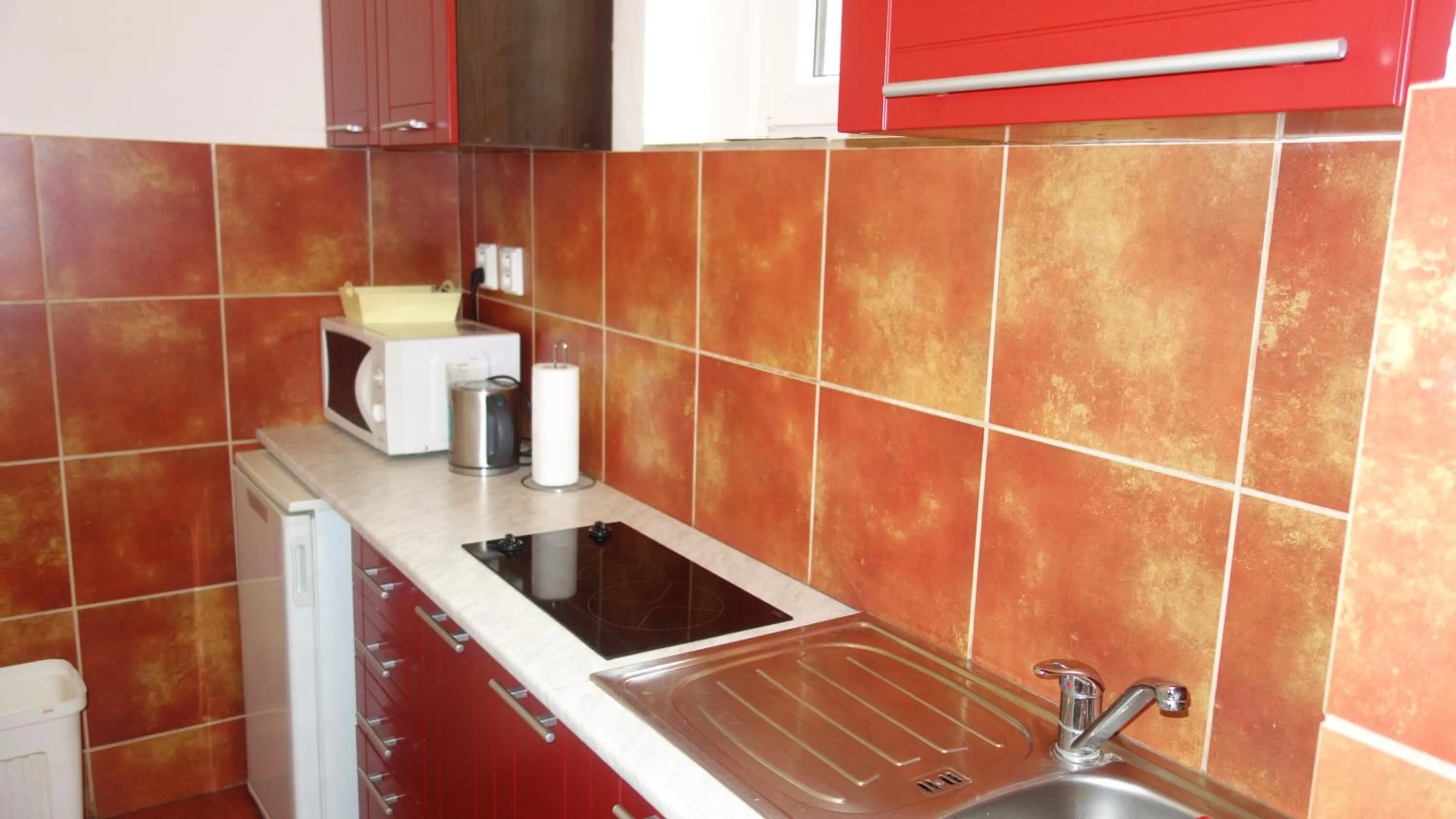 Kitchen or kitchenette in Apartments Rokytka - Praha