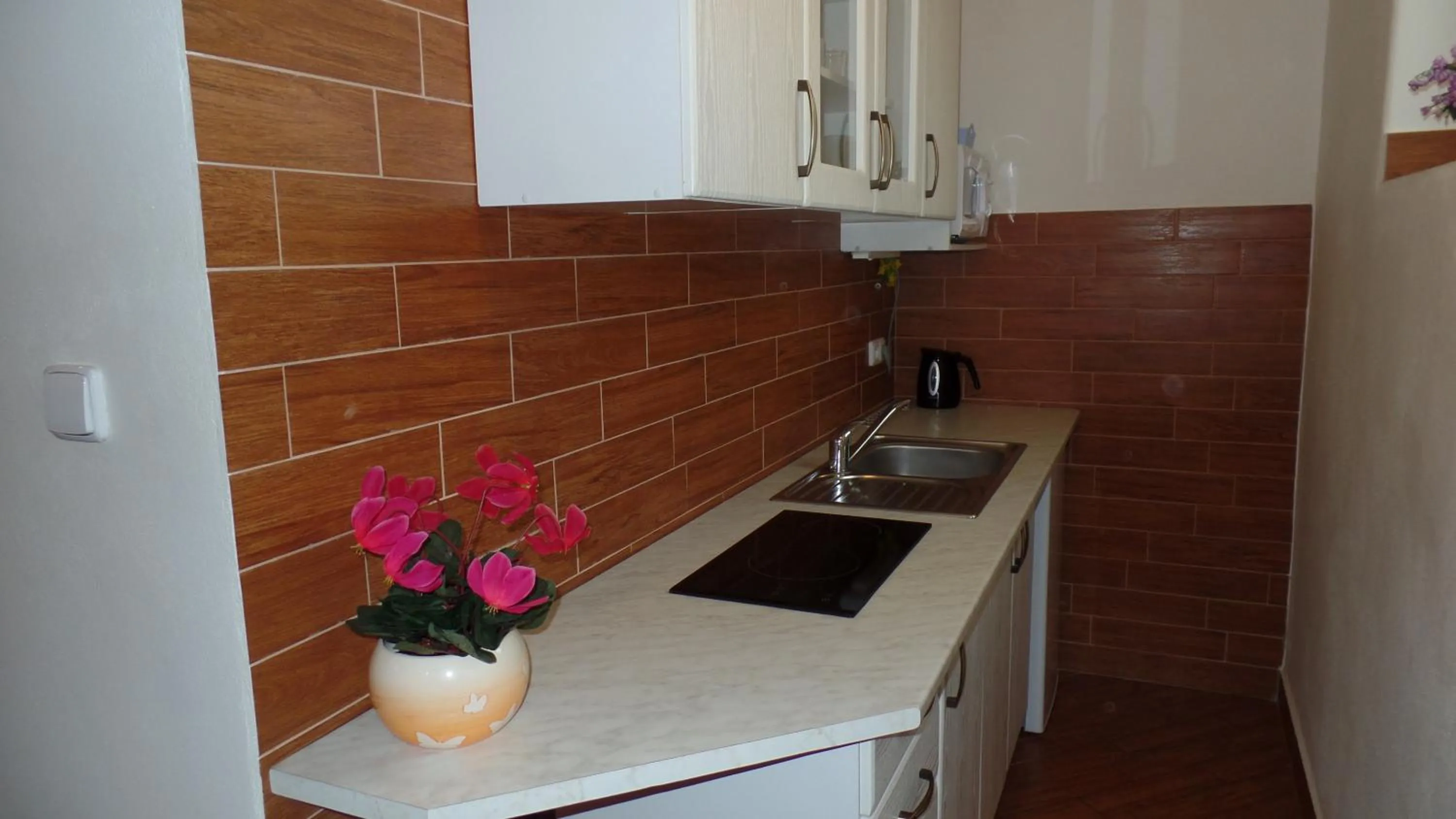Kitchen or kitchenette in Apartments Rokytka - Praha