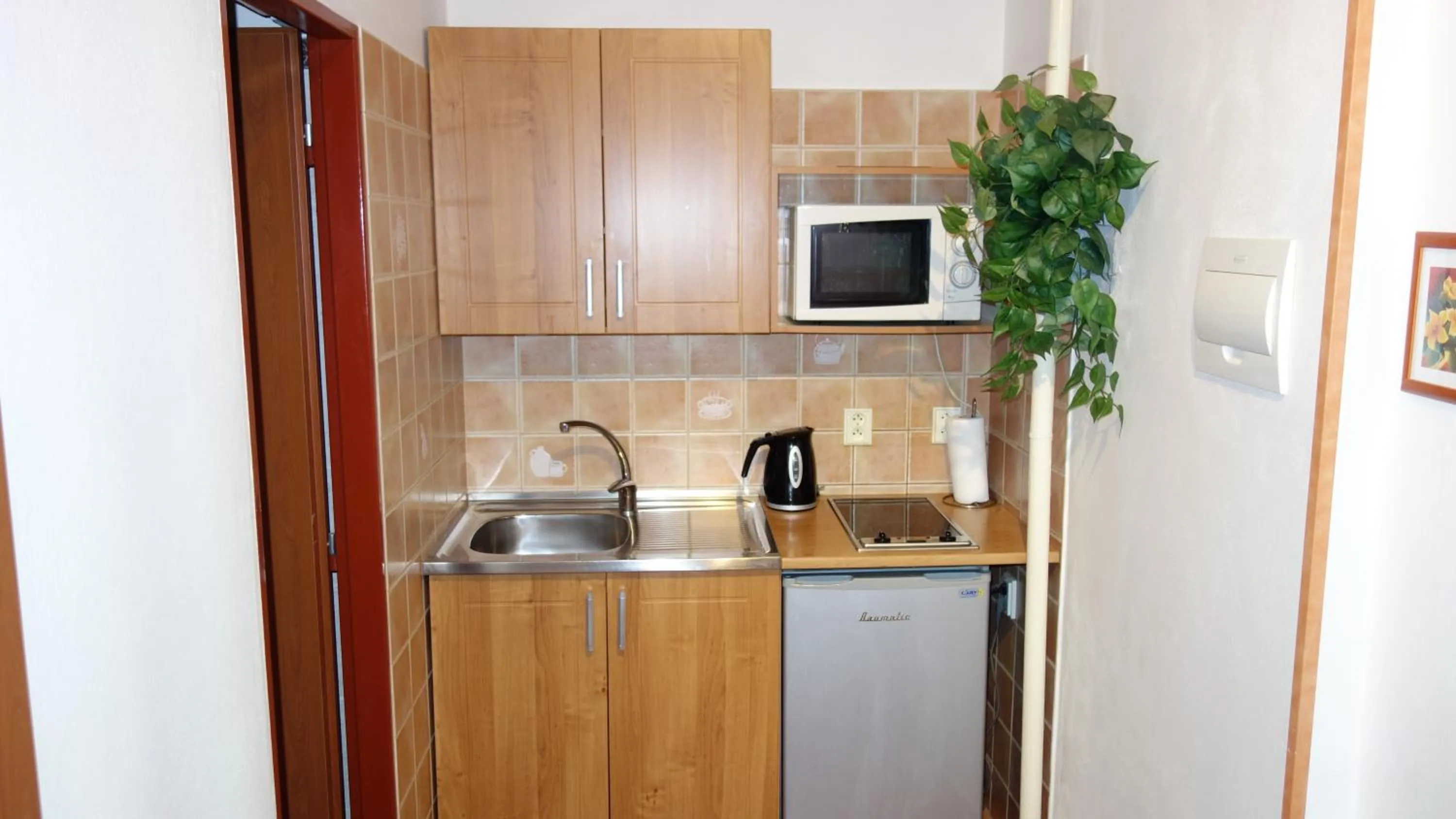 Kitchen or kitchenette in Apartments Rokytka - Praha