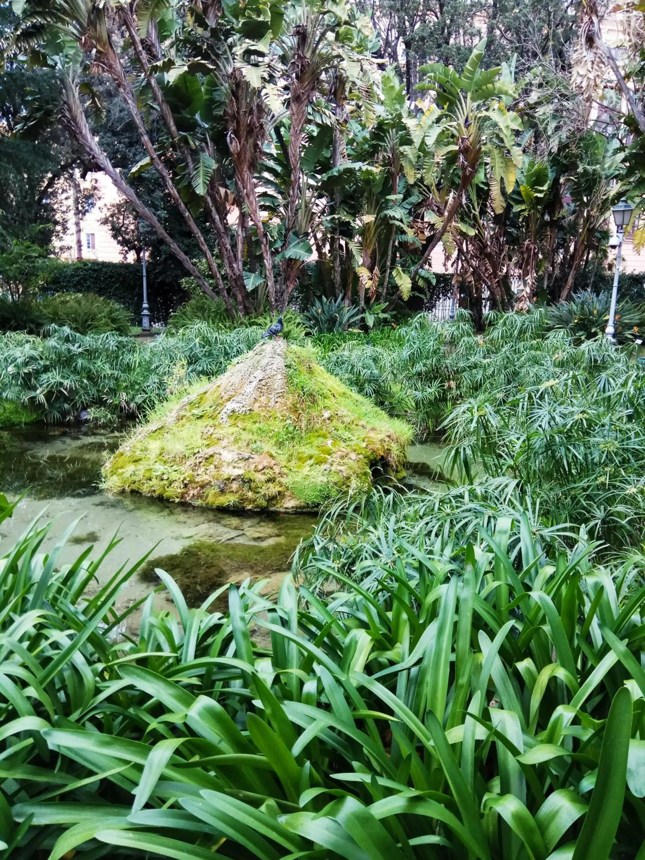 B&B degli Amalfitani