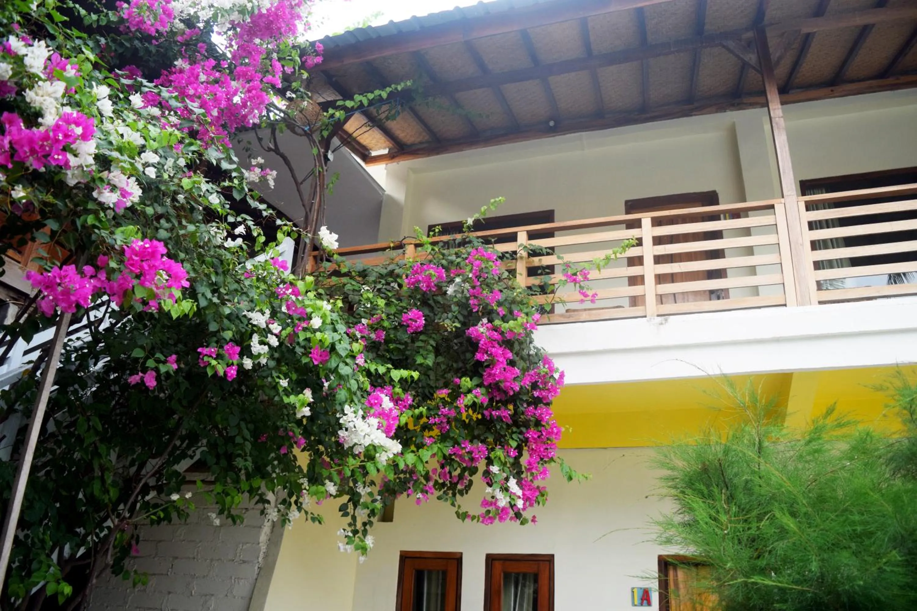 View (from property/room) in Panda Cottage