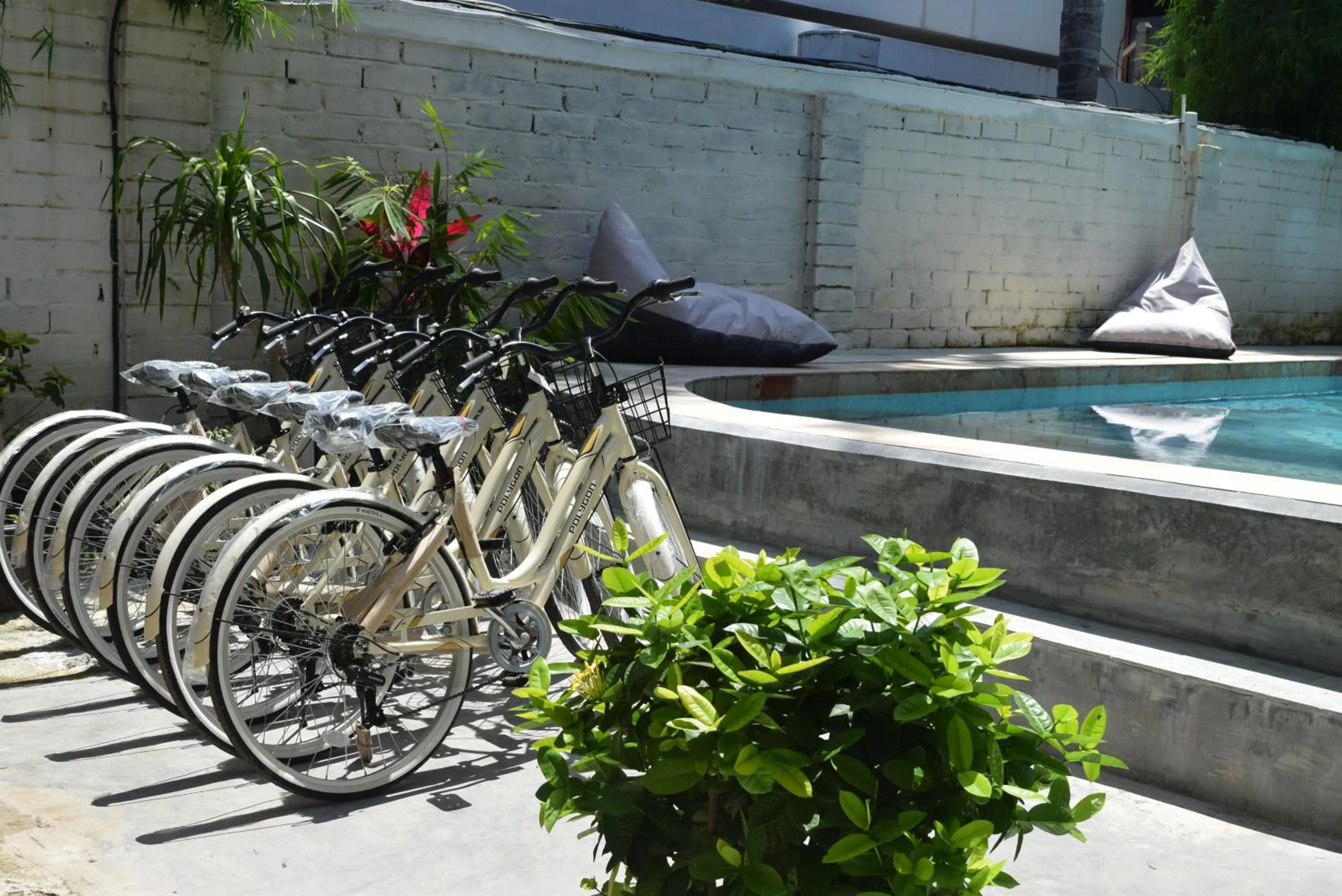 Cycling in Panda Cottage