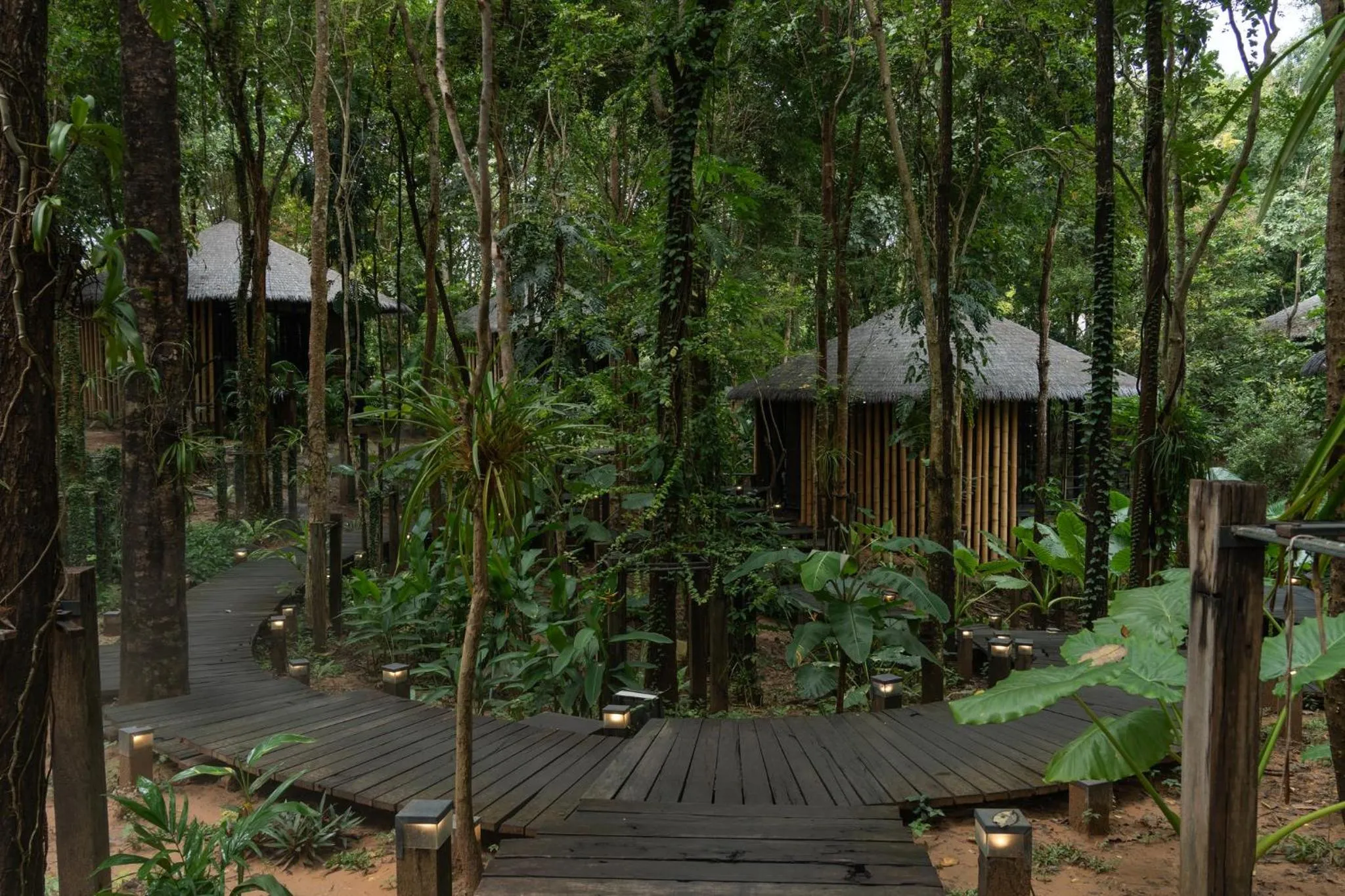 Garden in Sanctuary Kanchanaburi