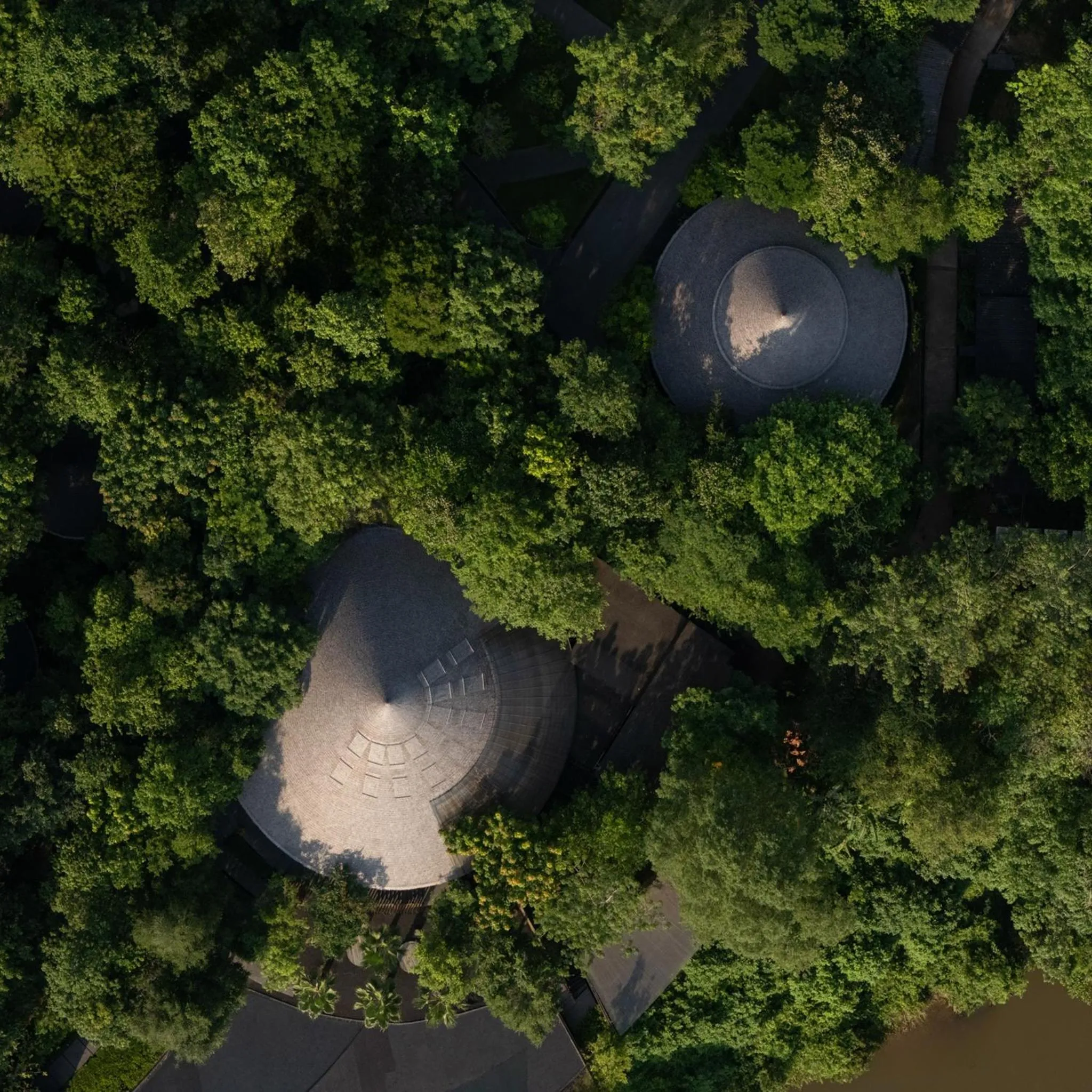 Bird's eye view in Sanctuary Kanchanaburi