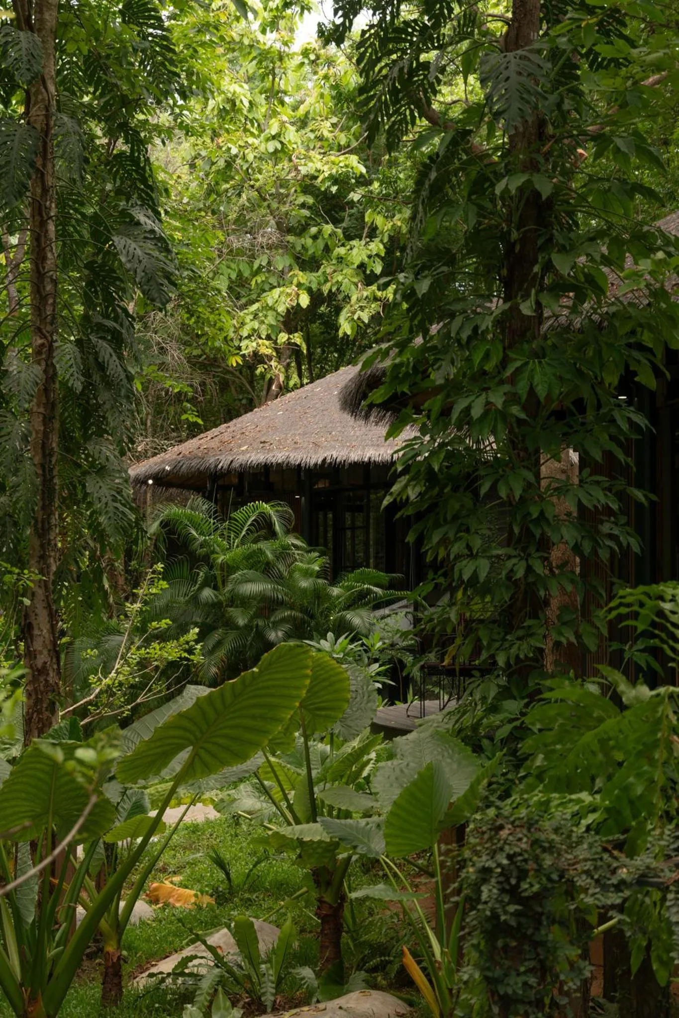 Garden in Sanctuary Kanchanaburi