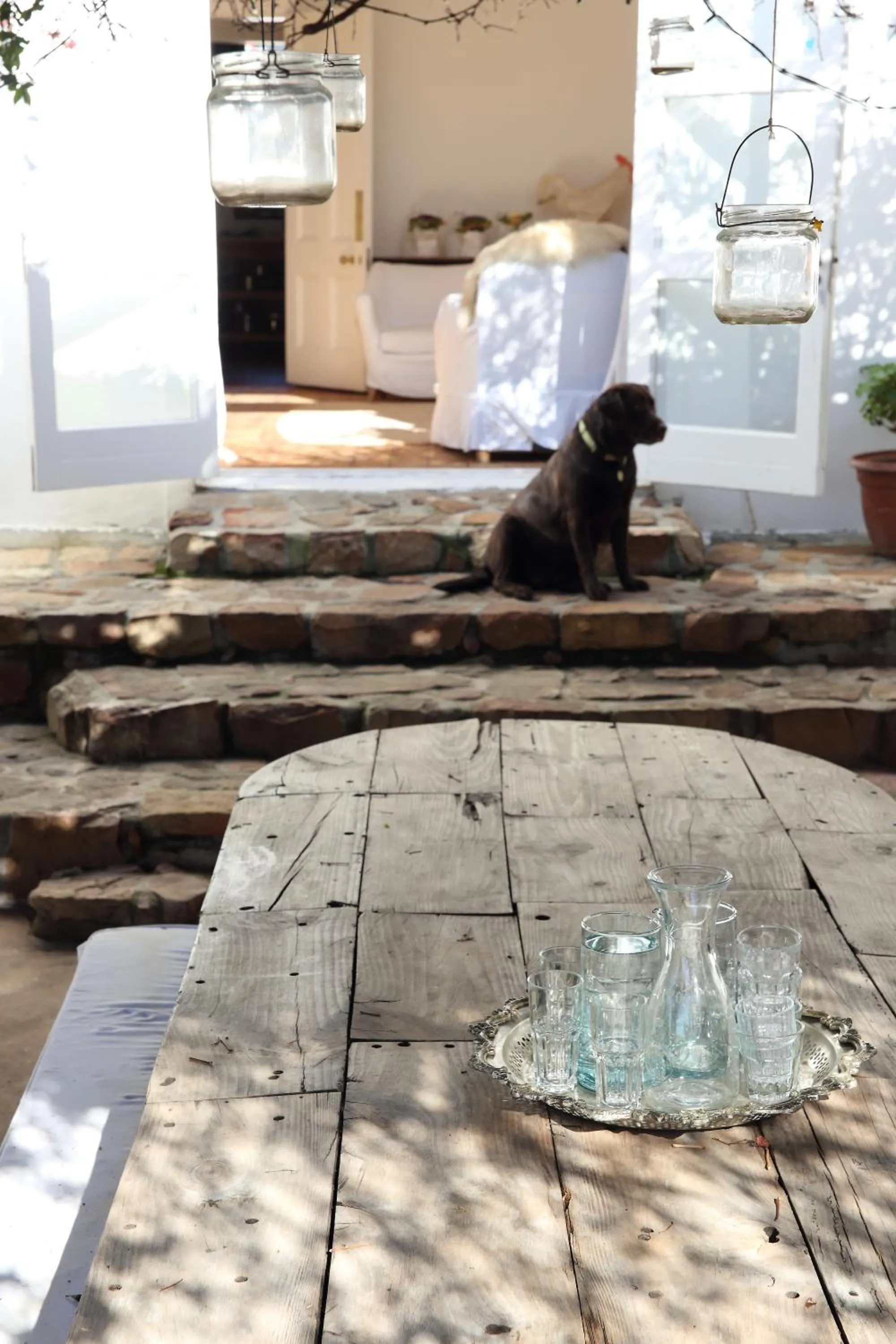 Pets in InAweStays Holiday Homes