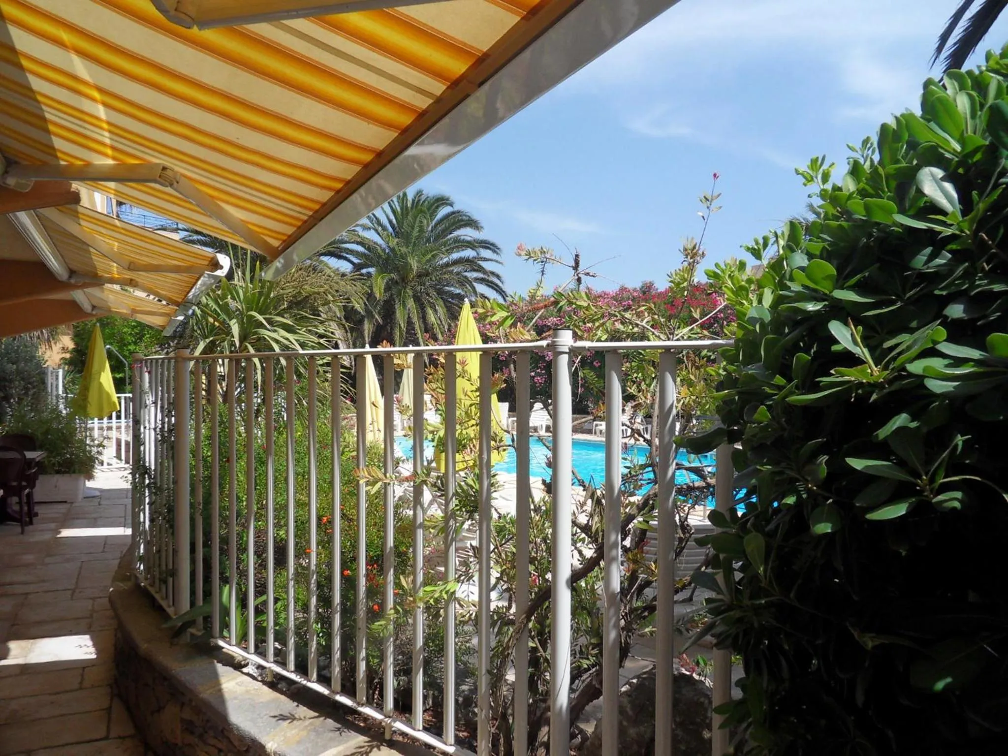 Pool view in Hotel Albizzia