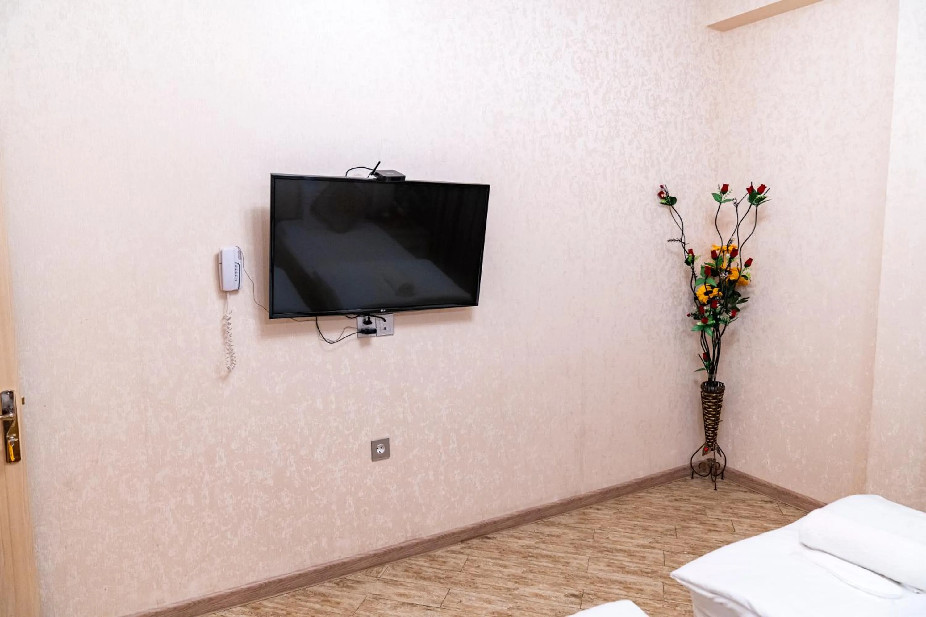 Communal lounge/ TV room in Sebail Inn Hotel Badamdar and Shah Hostel